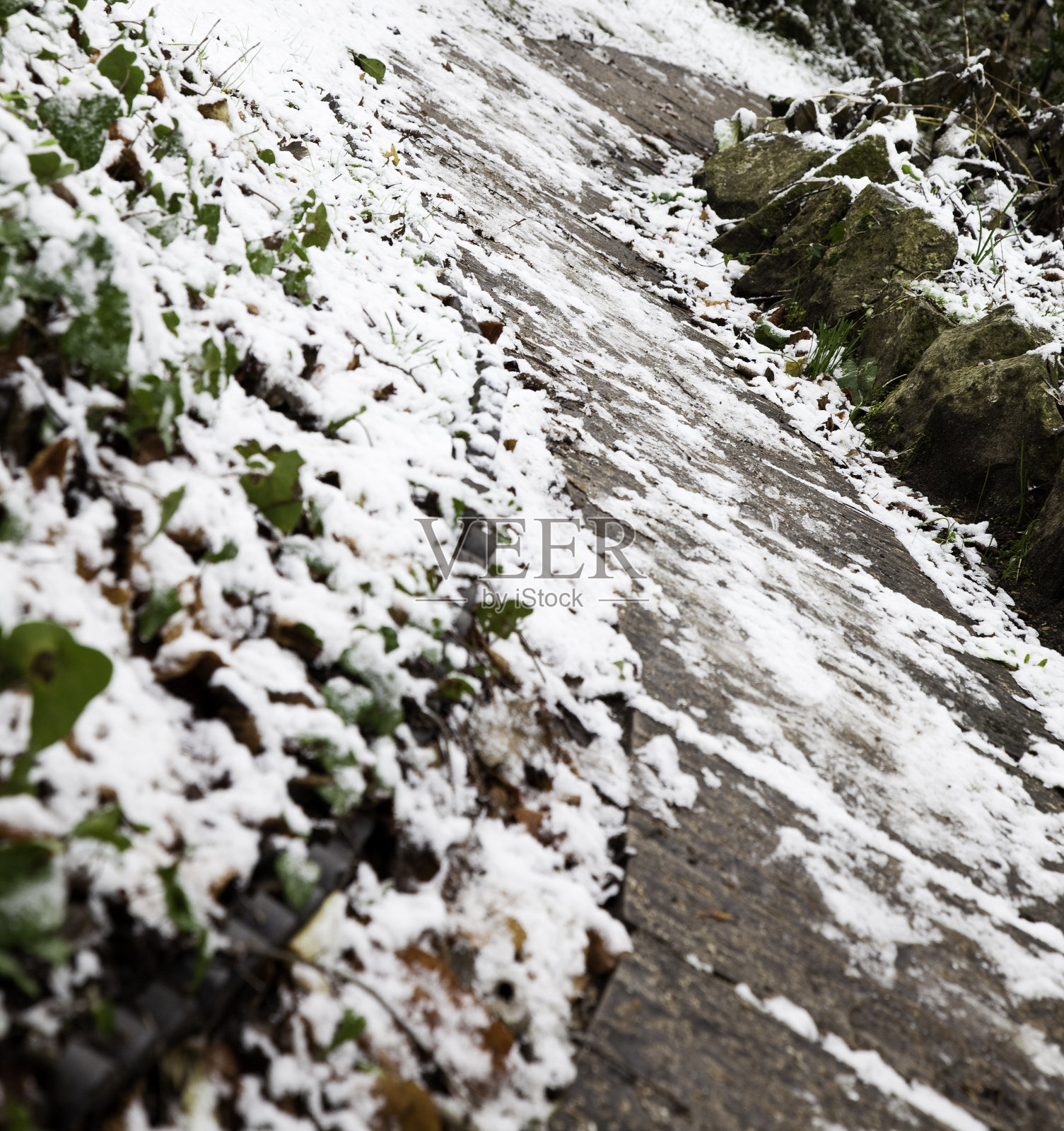 下雪的路径照片摄影图片