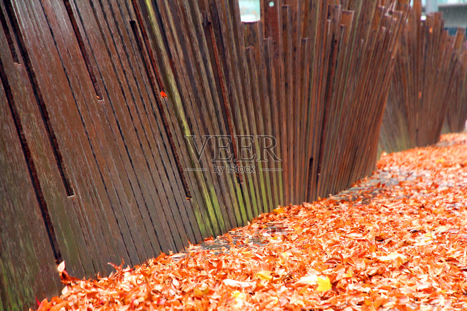 叶子和金属照片摄影图片