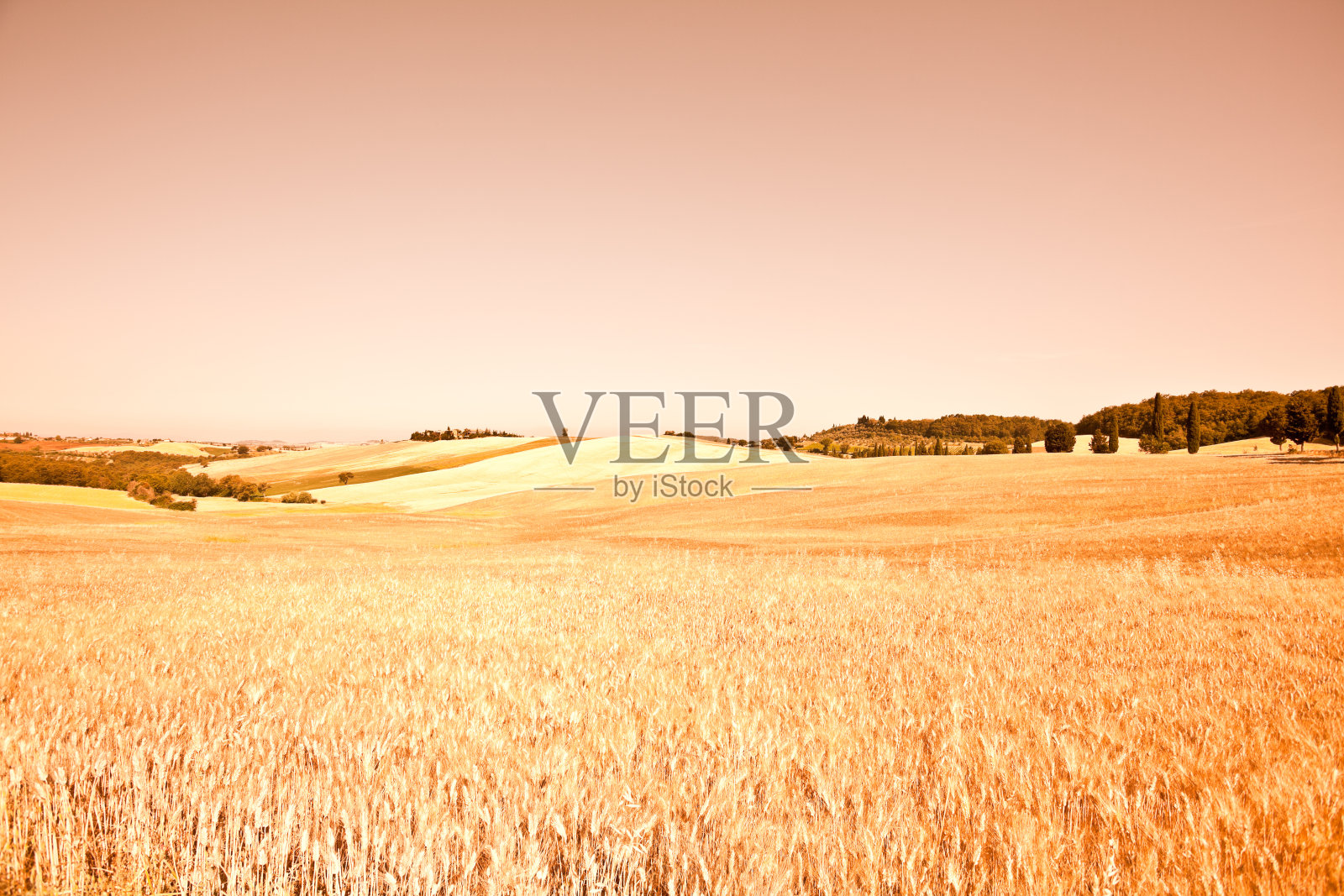托斯卡纳景观Val d'Orcia，基安蒂地区照片摄影图片