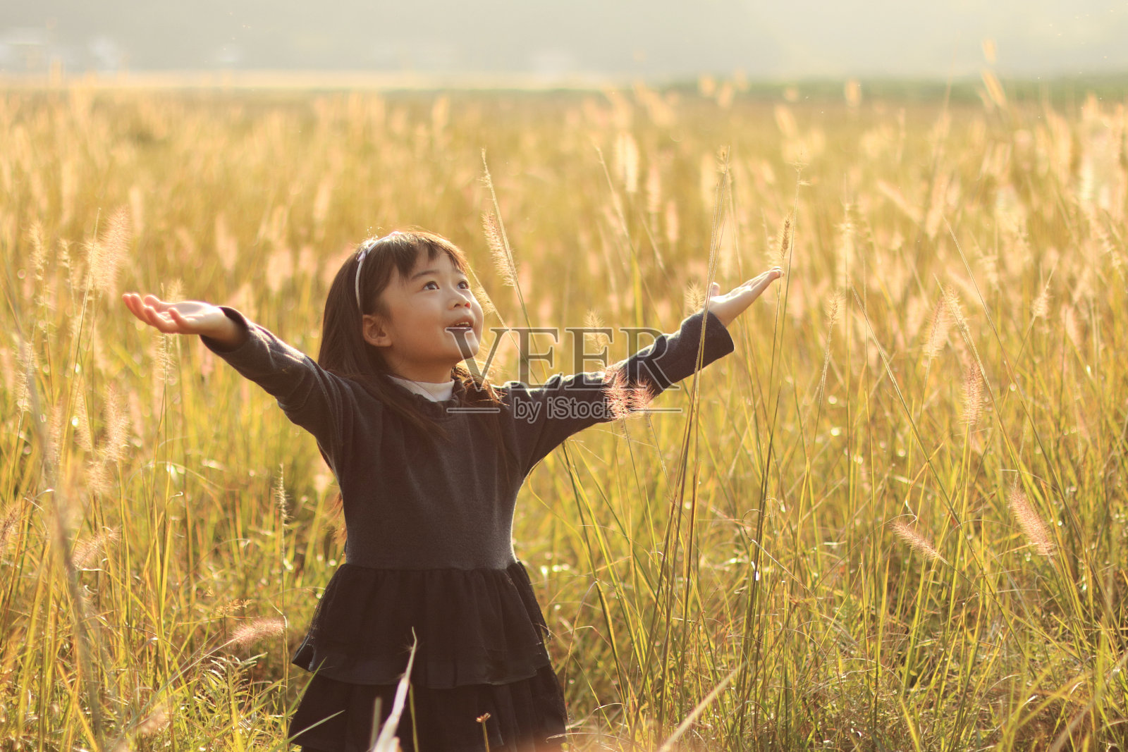 快乐照片摄影图片