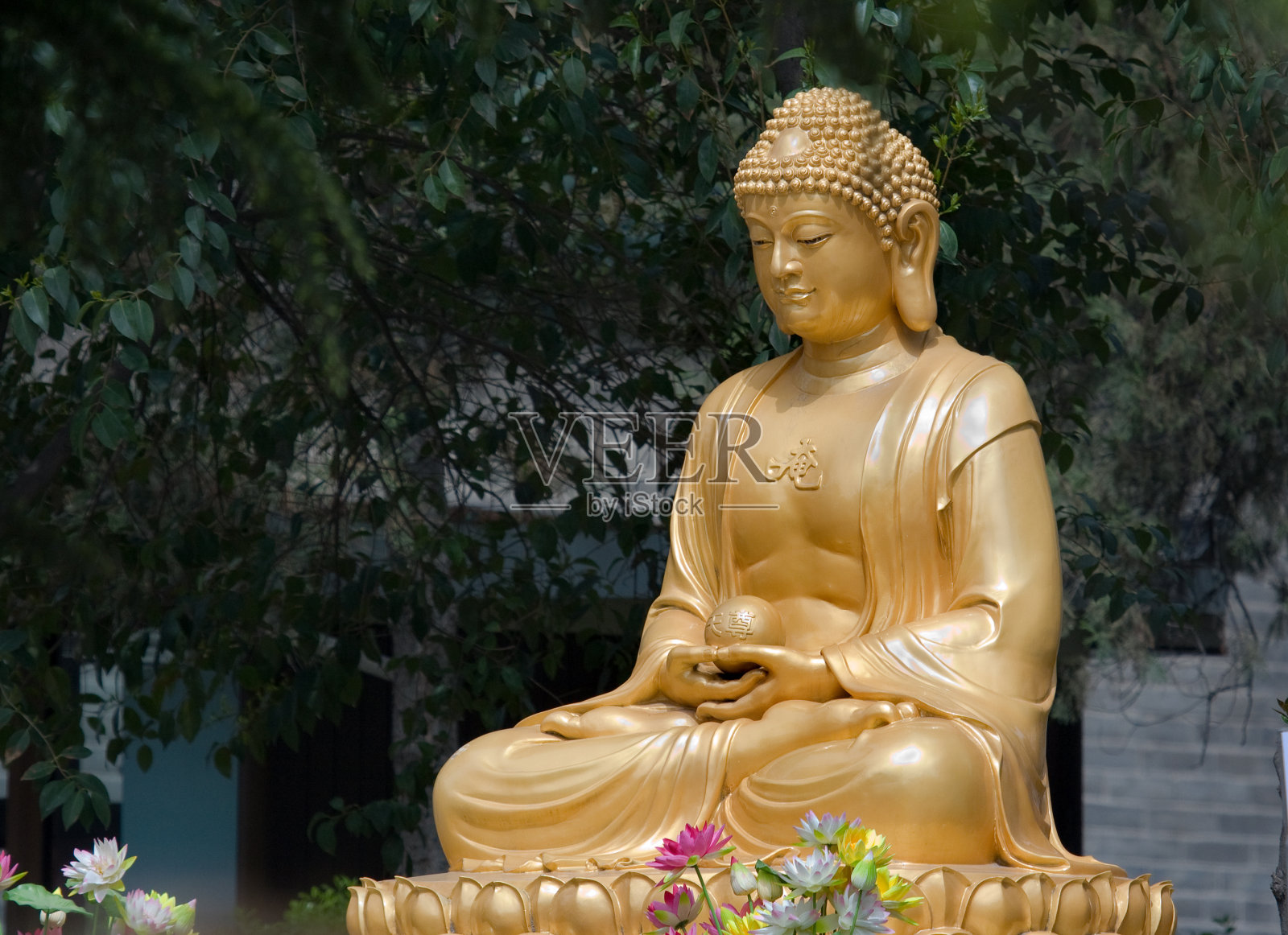 金佛，中国西安照片摄影图片