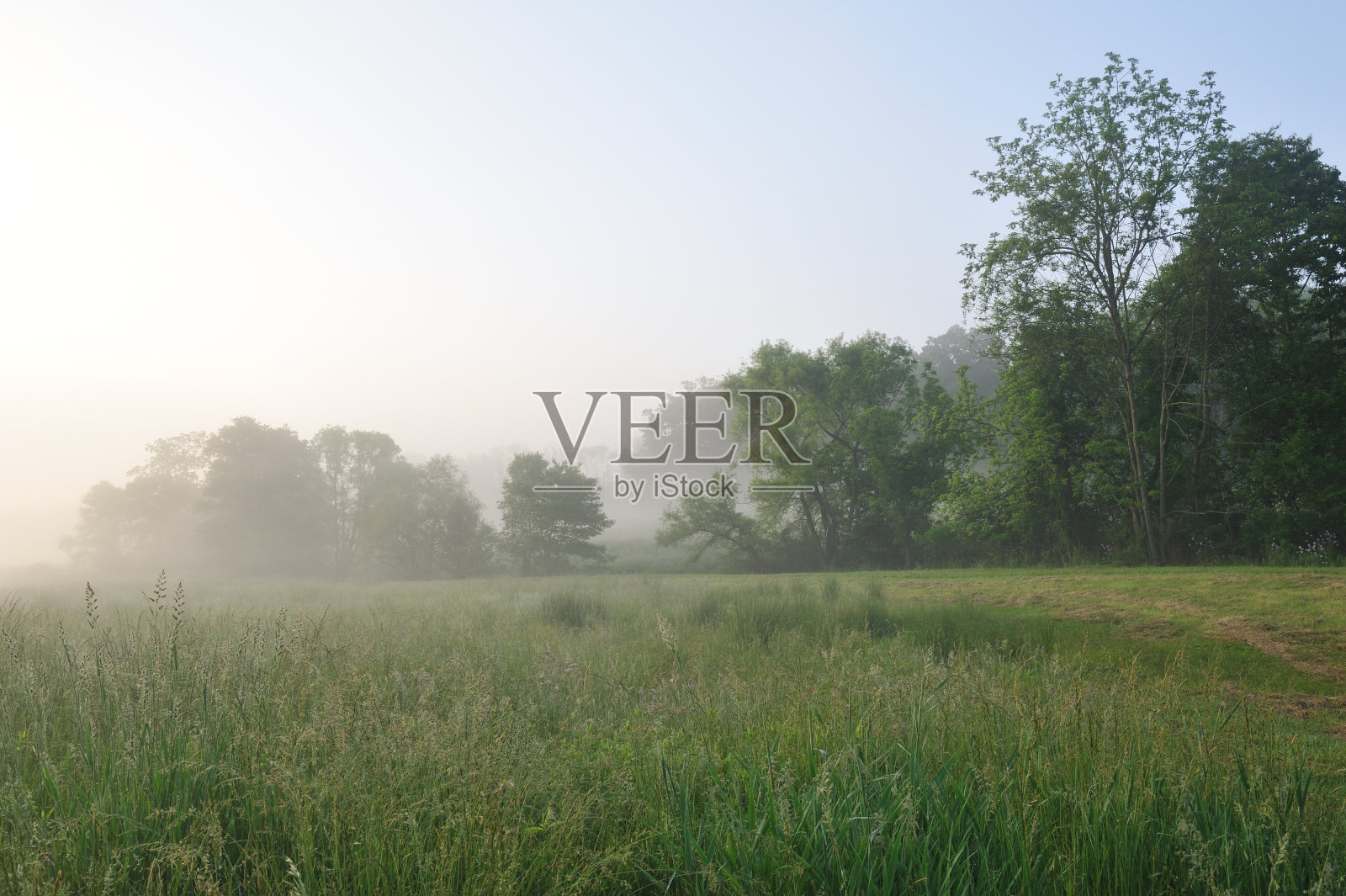 多雾的早晨照片摄影图片