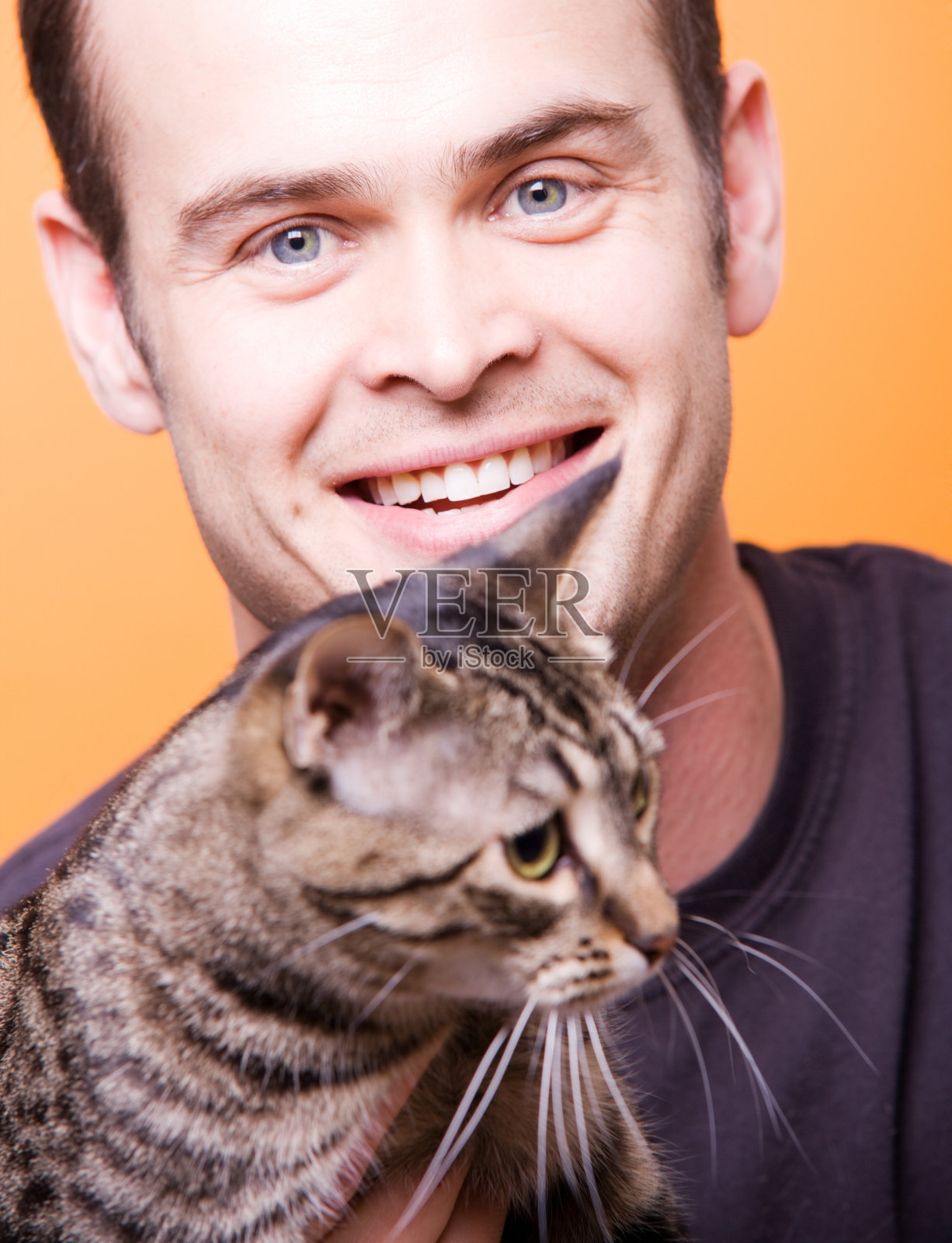 猫和人照片摄影图片