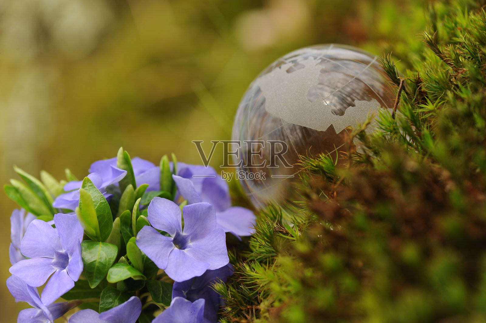 环境保护照片摄影图片