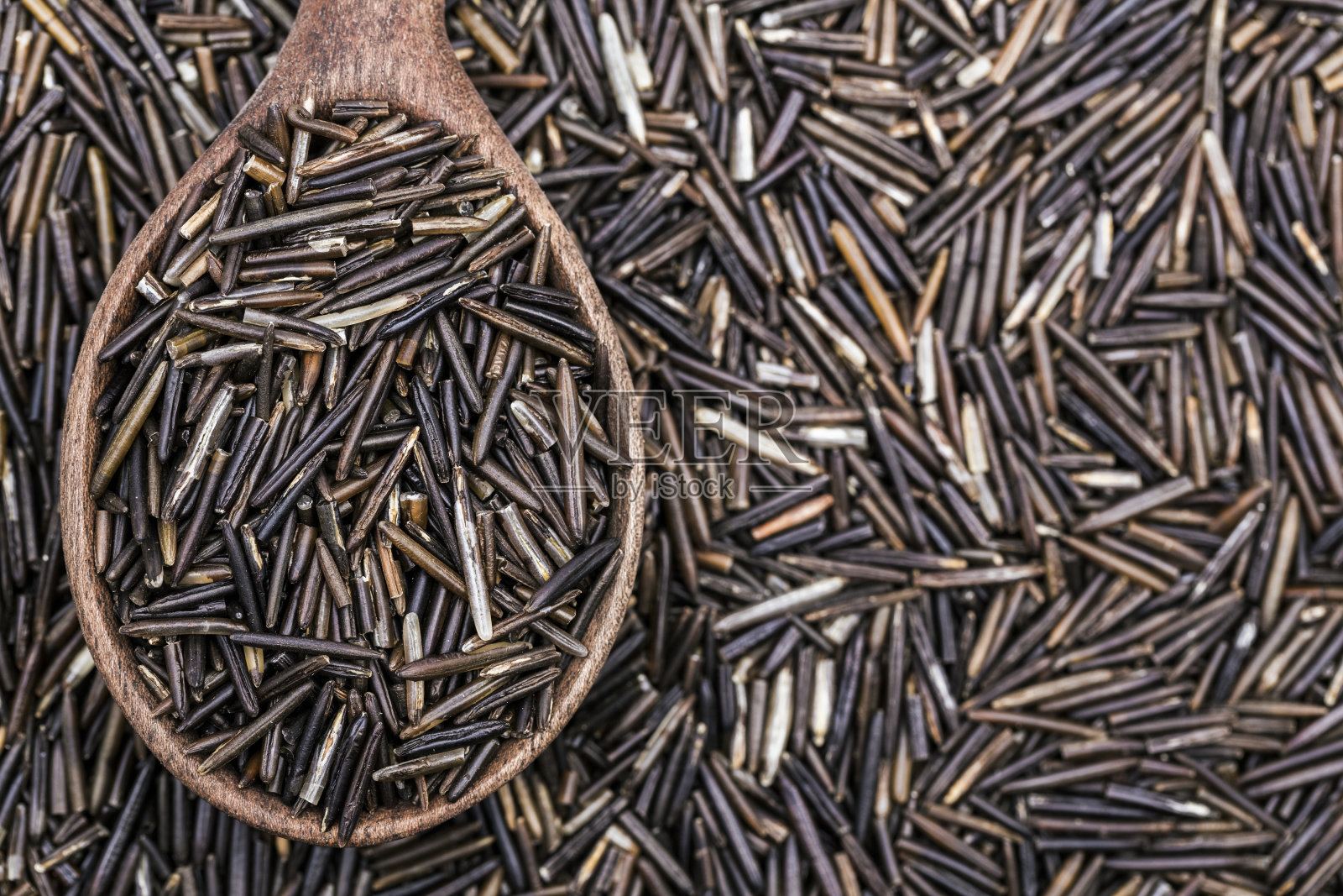 野生稻照片摄影图片