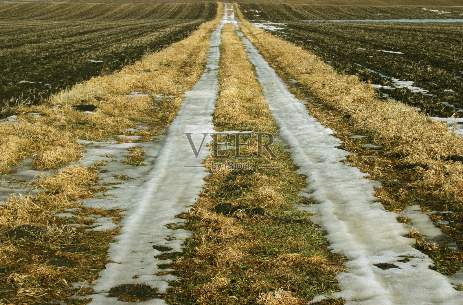 融化的雪照片摄影图片