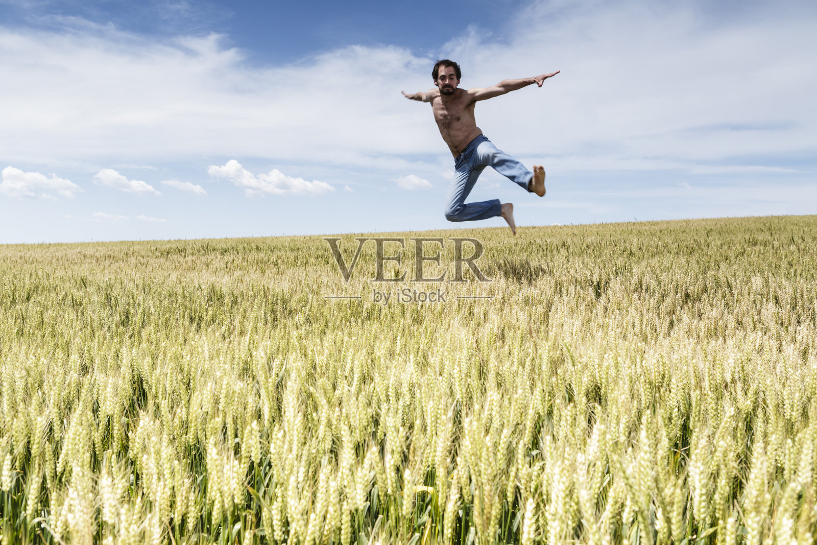 跳小麦照片摄影图片