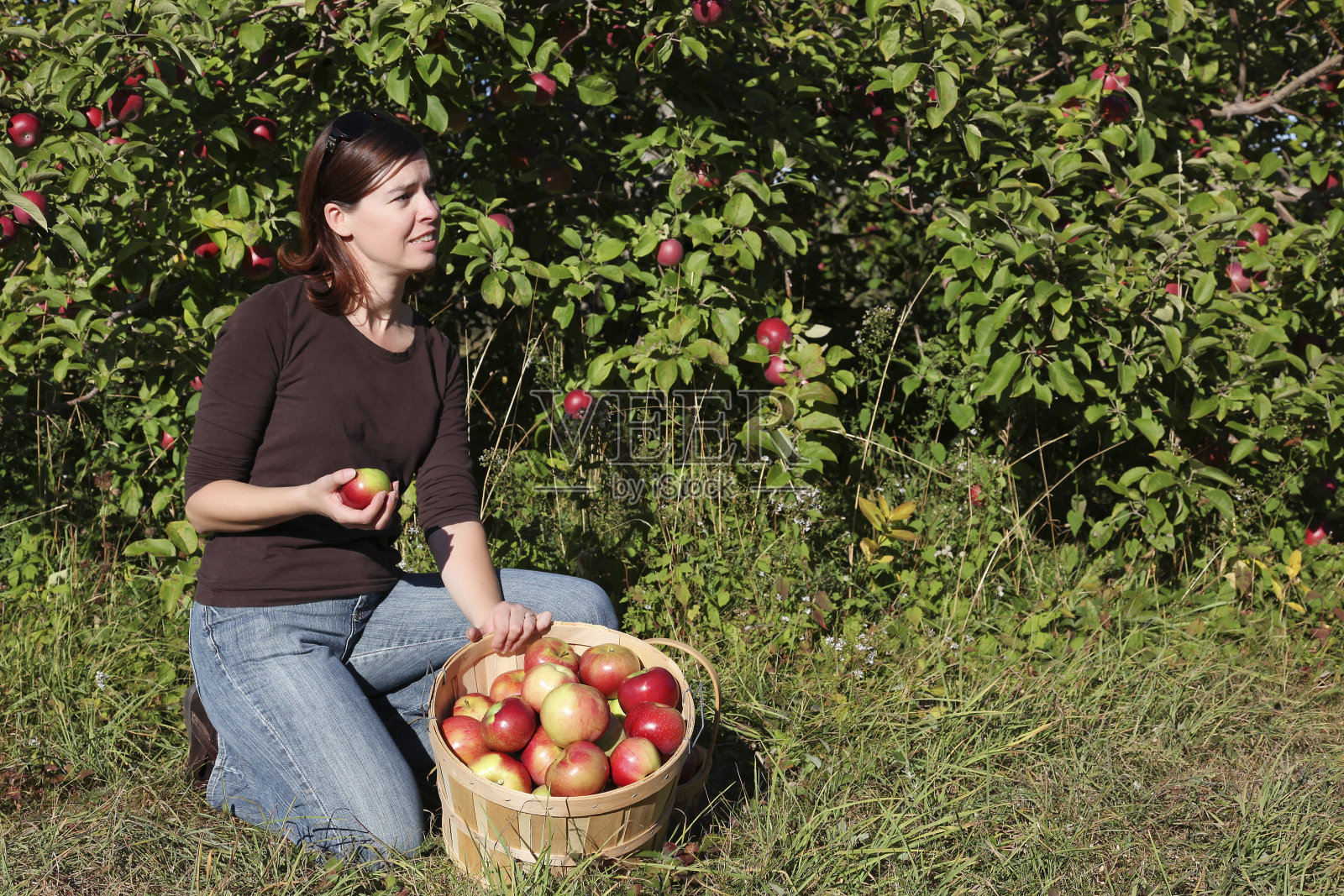 果园里的女人照片摄影图片