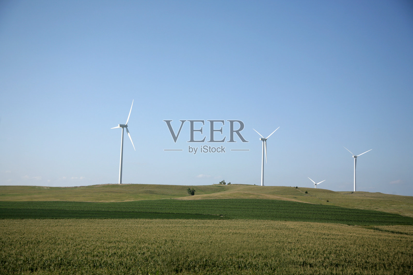 选择照片摄影图片