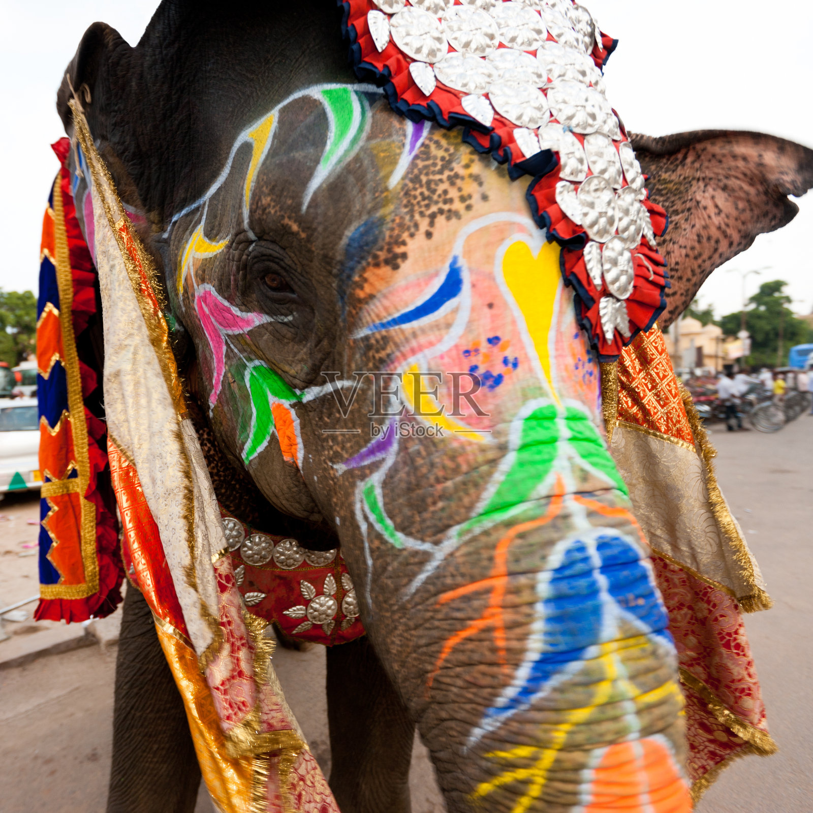 印度斋浦尔大象彩色装饰照片摄影图片
