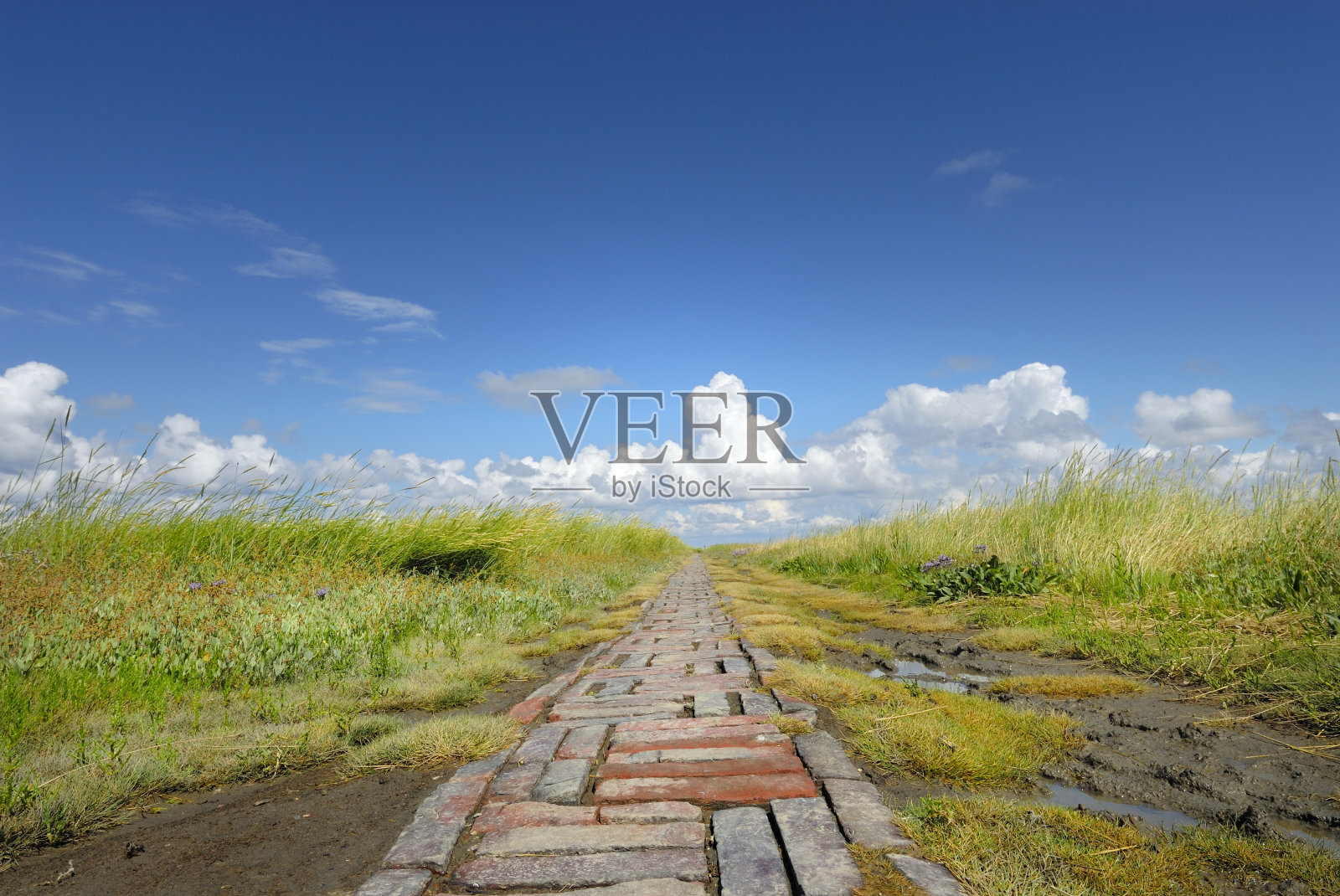 北海景观照片摄影图片