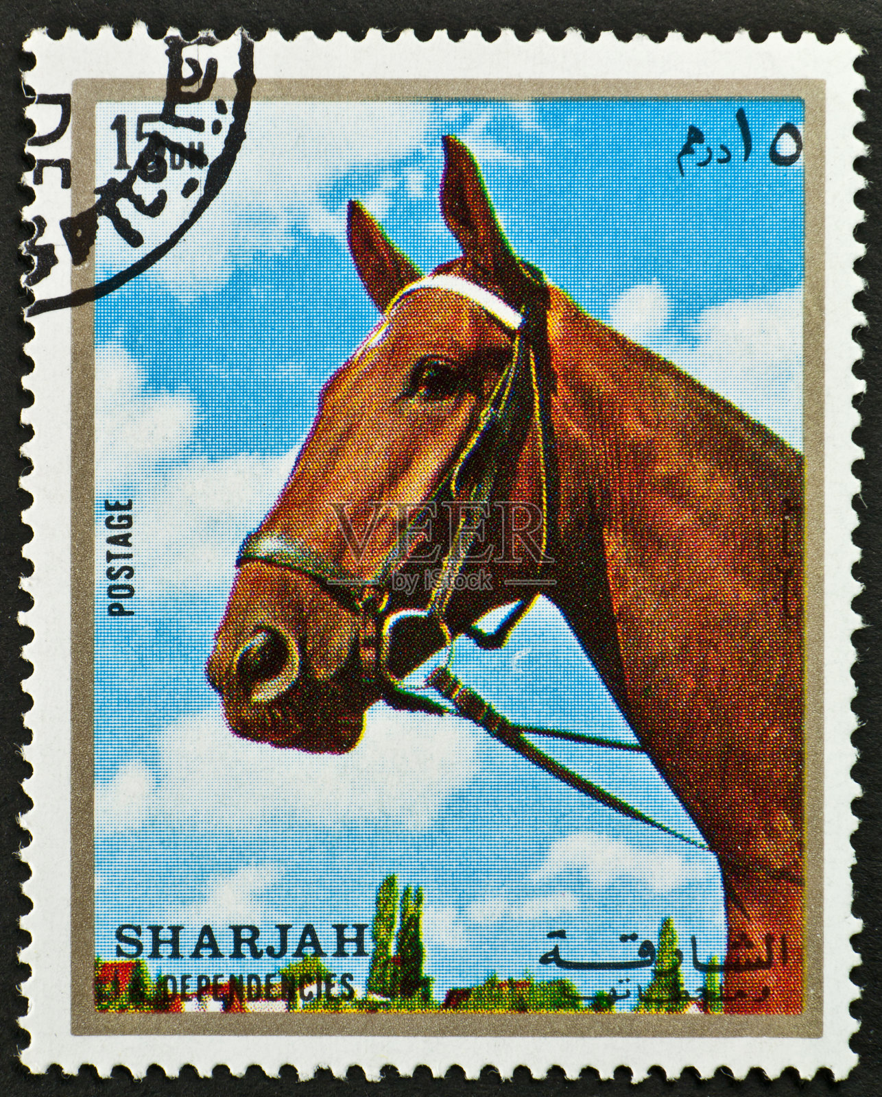 带马头的动机邮票 - 沙迦阿拉伯联合酋长国照片摄影图片