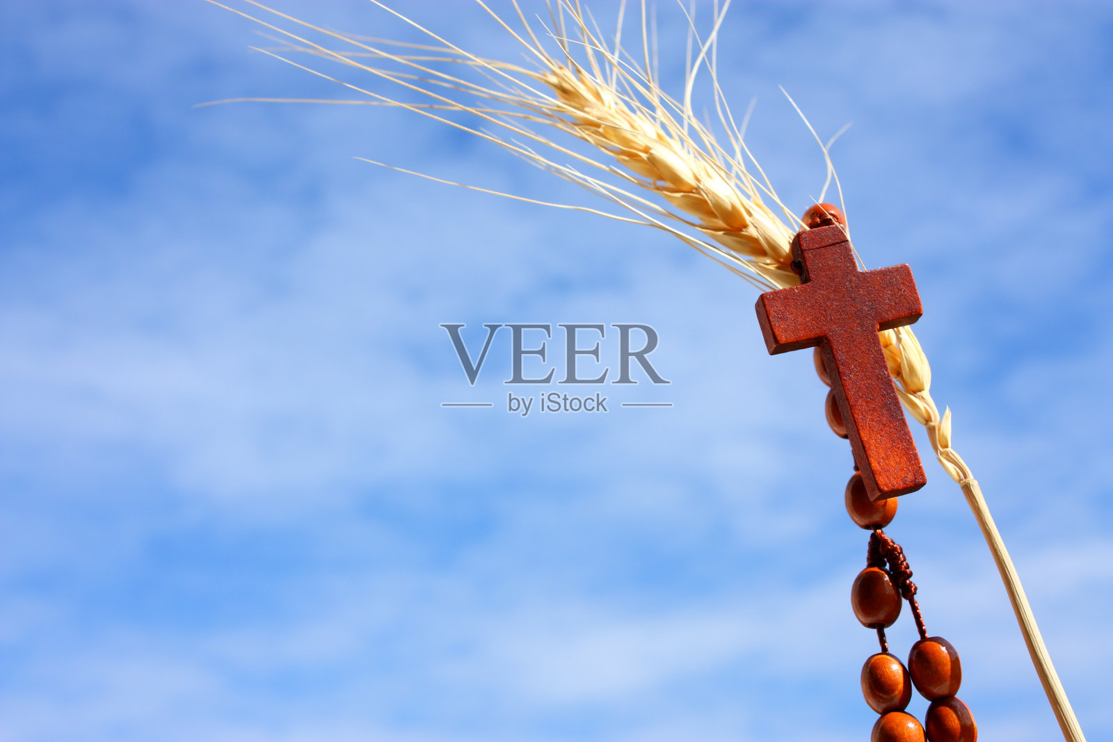 祈祷的小麦照片摄影图片