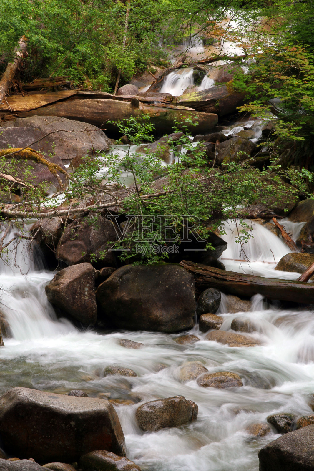 水和树木照片摄影图片