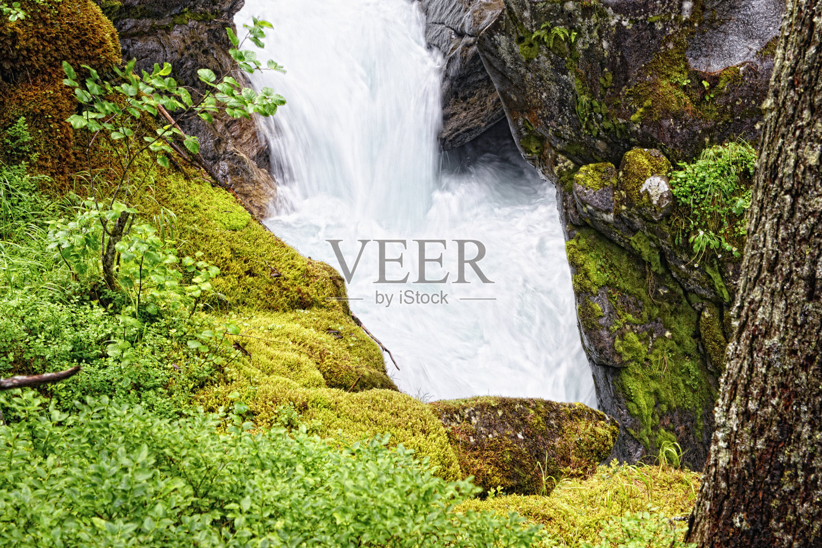 河景观(奥地利)。照片摄影图片