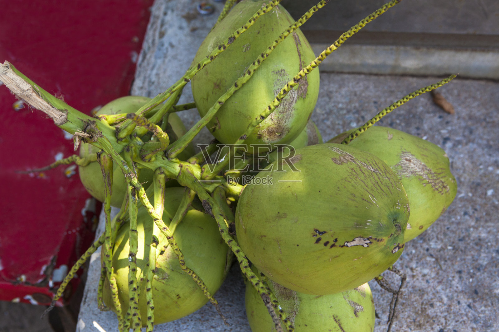 椰子分支照片摄影图片