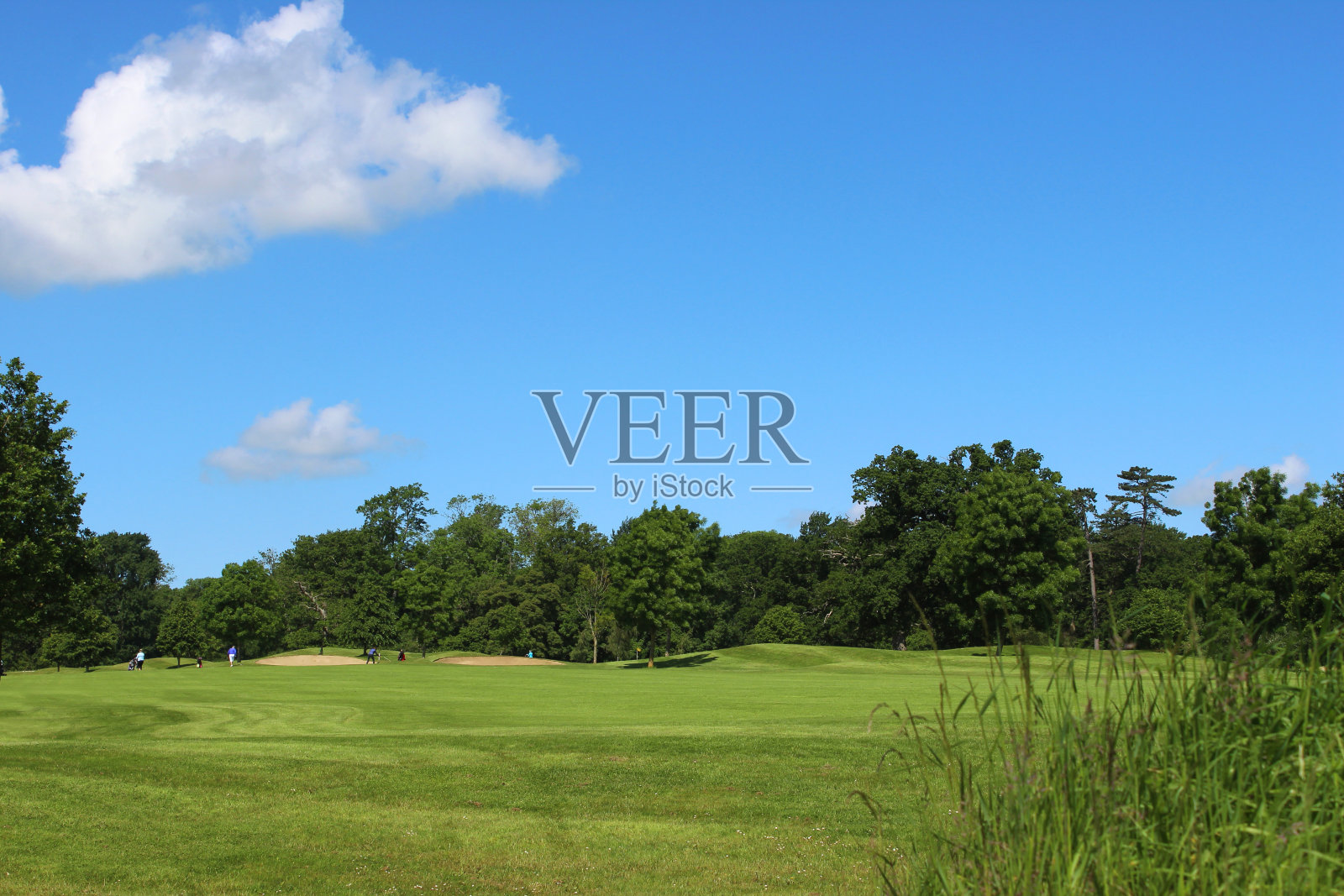 高尔夫球场的绿色草地，树木，沙坑，危险，天空照片摄影图片