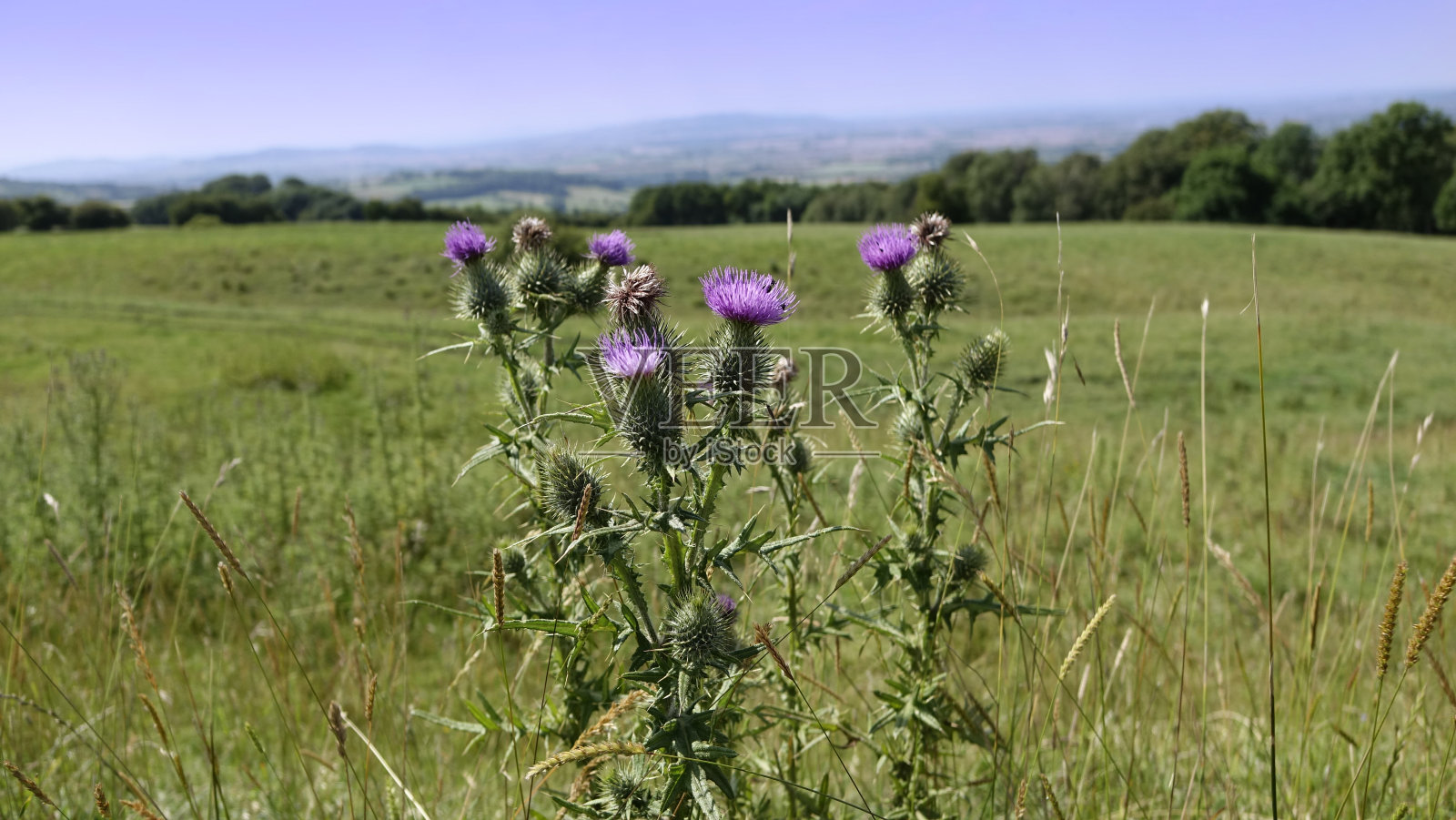 农田照片摄影图片