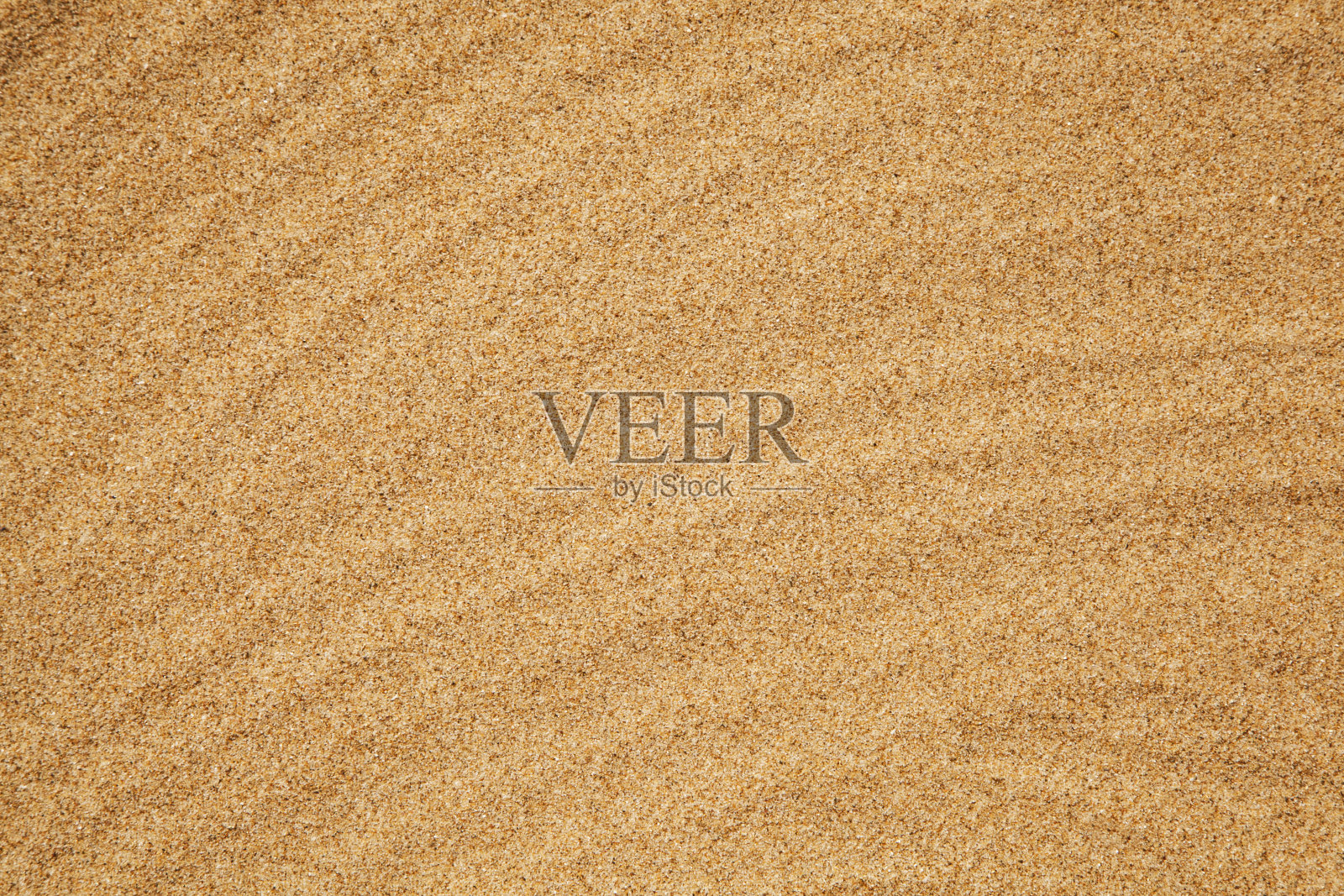 夏季海滩概念与copyspace照片摄影图片