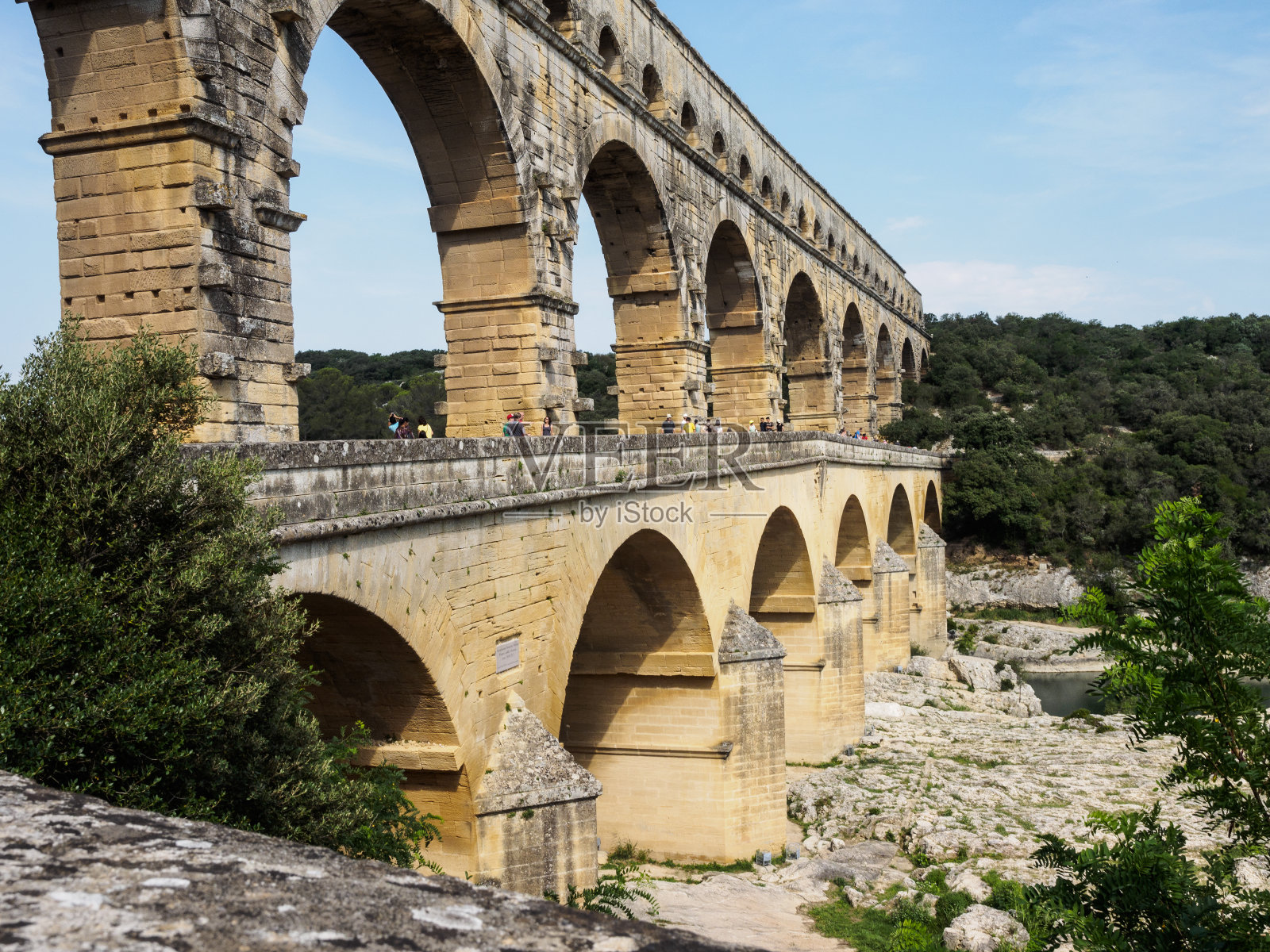 头都大了照片摄影图片