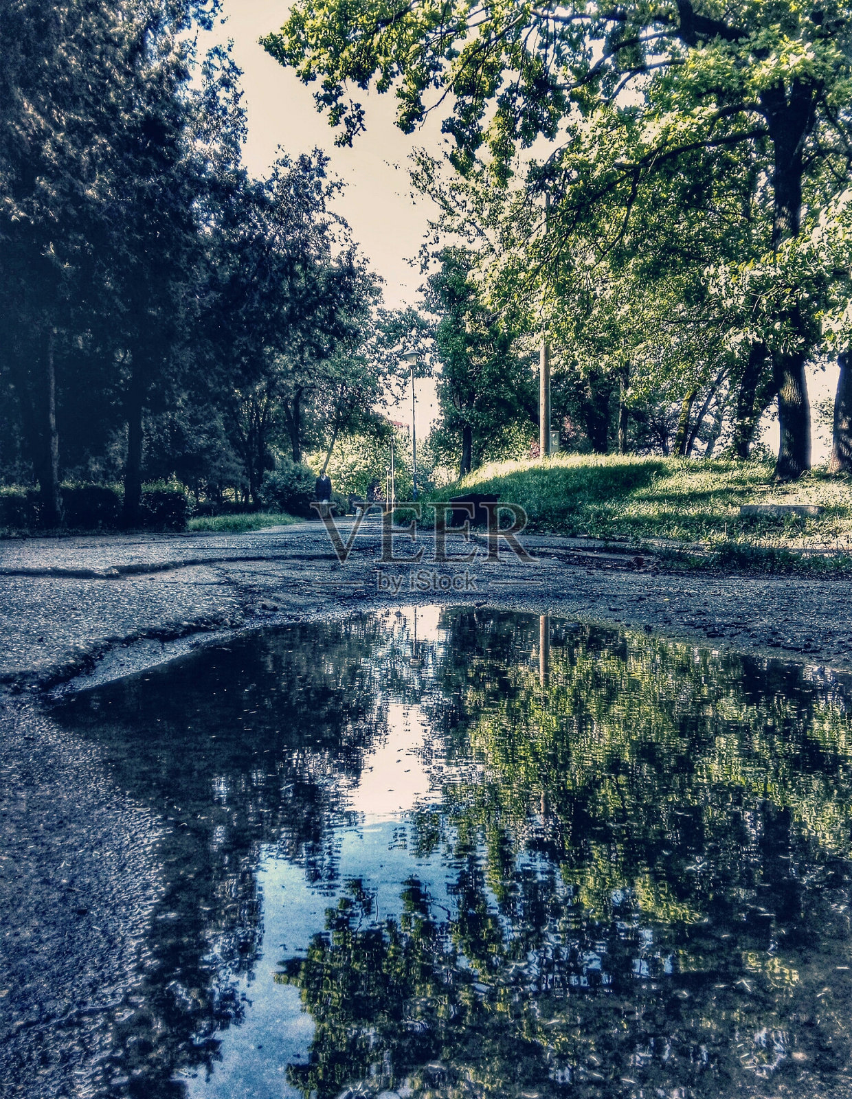 平静的城市公园照片摄影图片