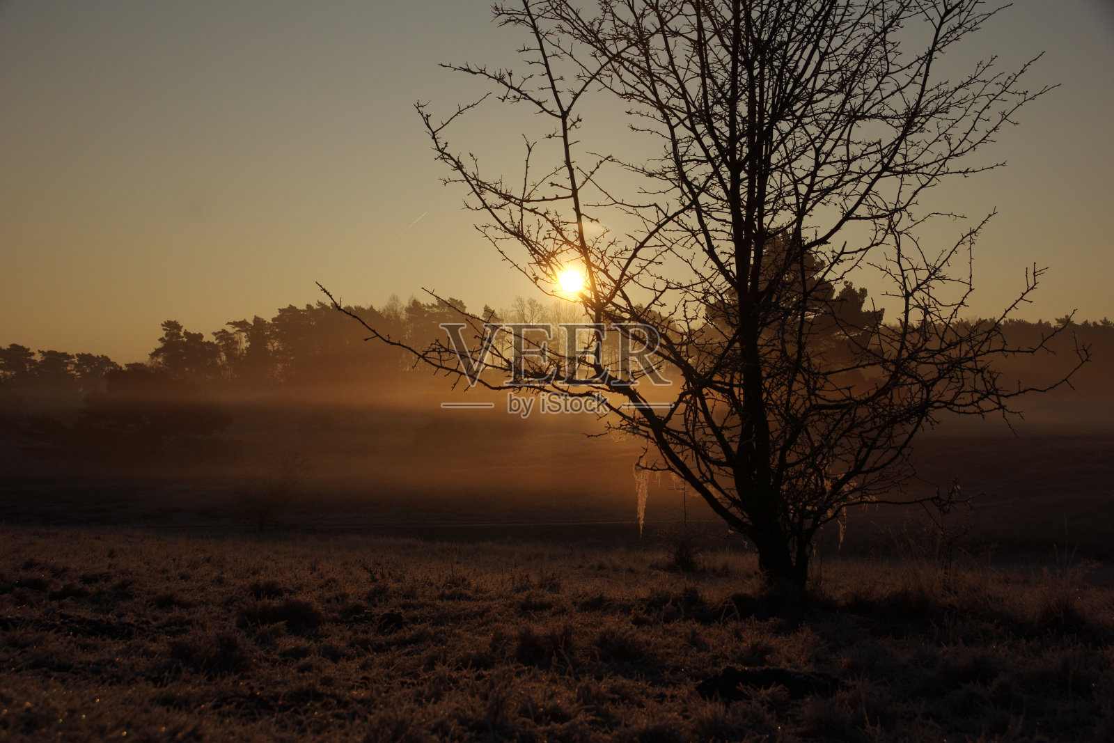 荒原上朦胧的日出照片摄影图片
