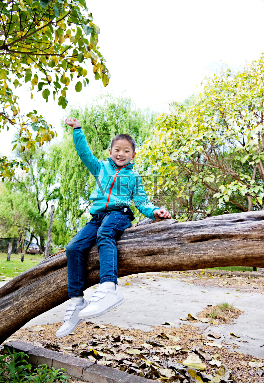 小男孩坐在树枝上照片摄影图片