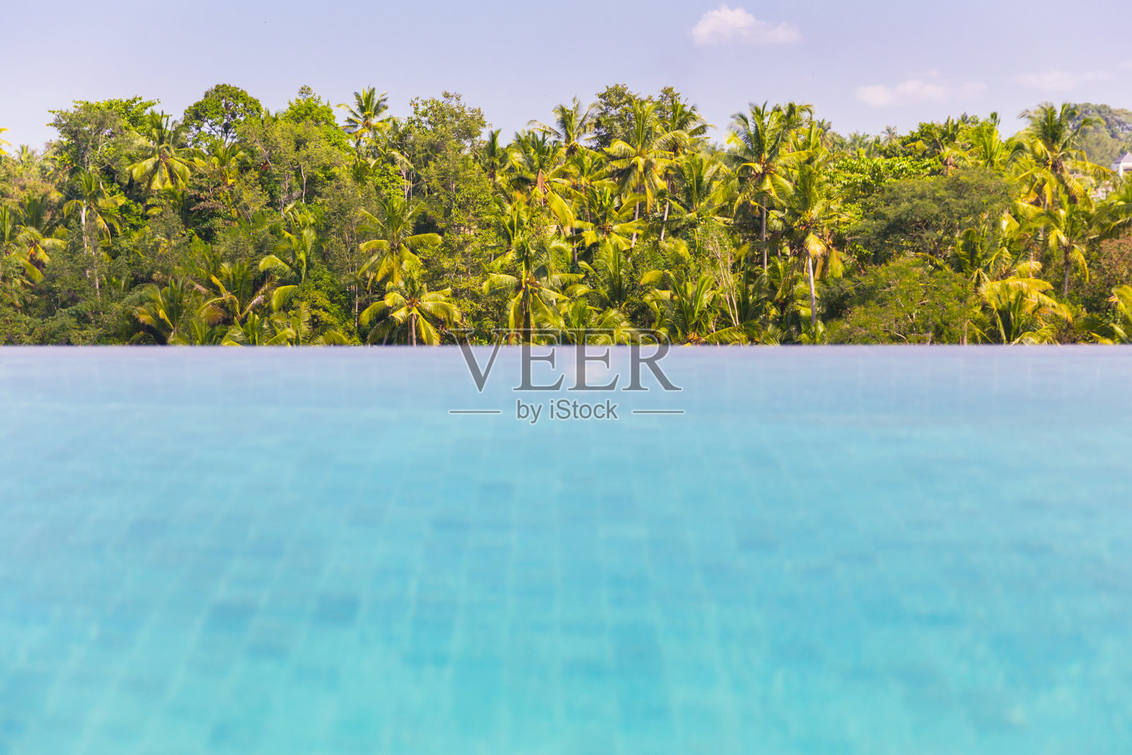 无边泳池与森林背景照片摄影图片