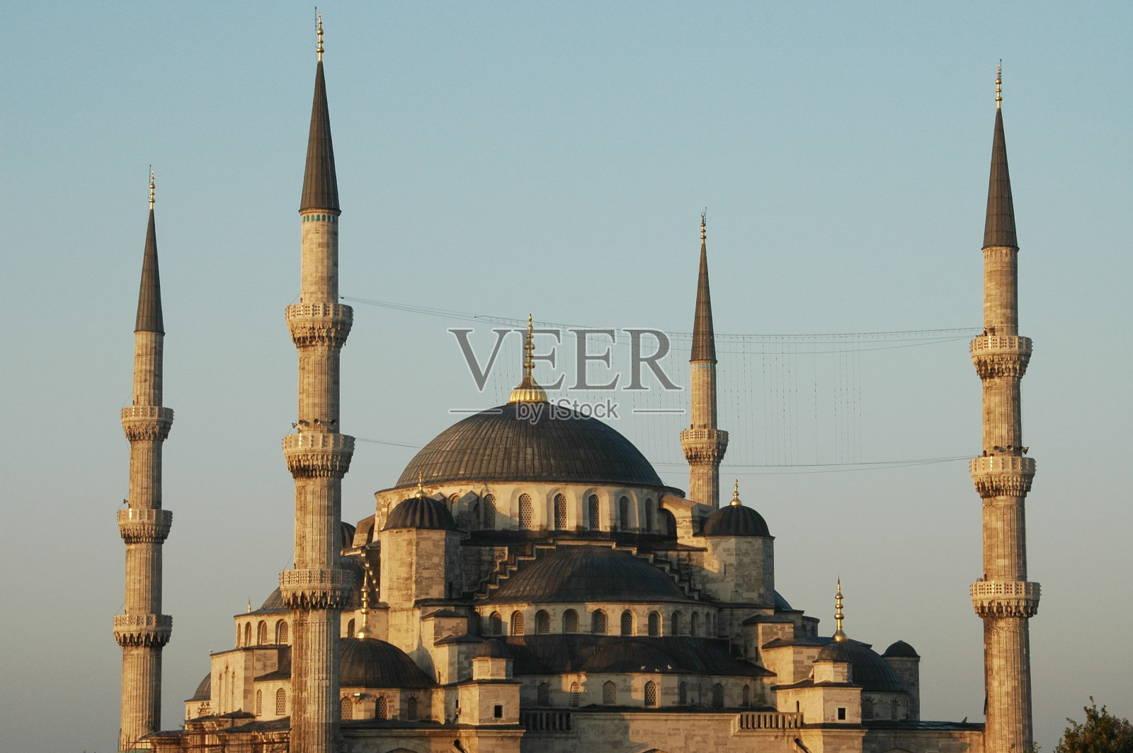 美丽的蓝色清真寺照片摄影图片