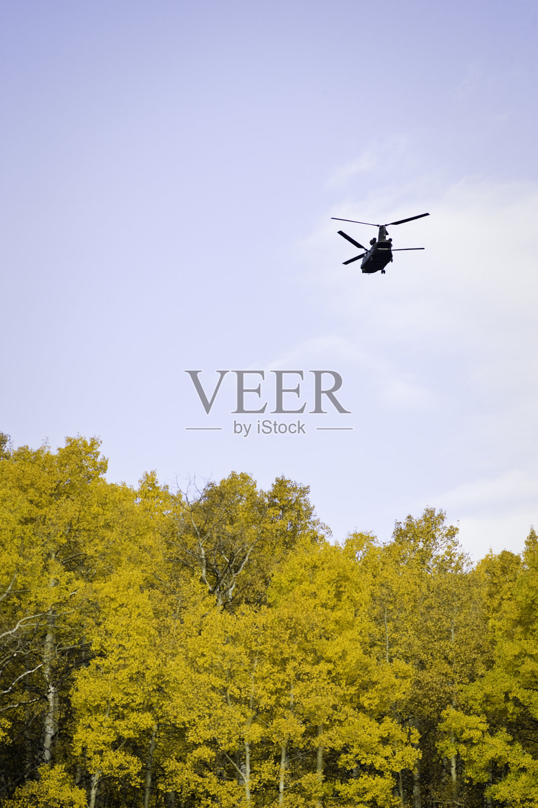 支努克军用直升机在上空飞行照片摄影图片