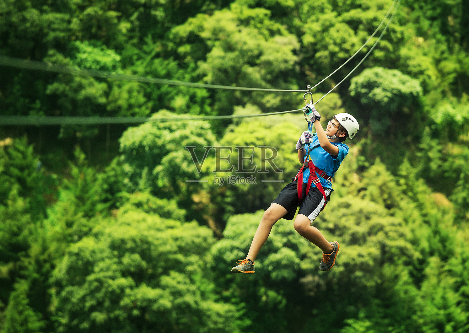 在危地马拉的冠层之旅中照片摄影图片