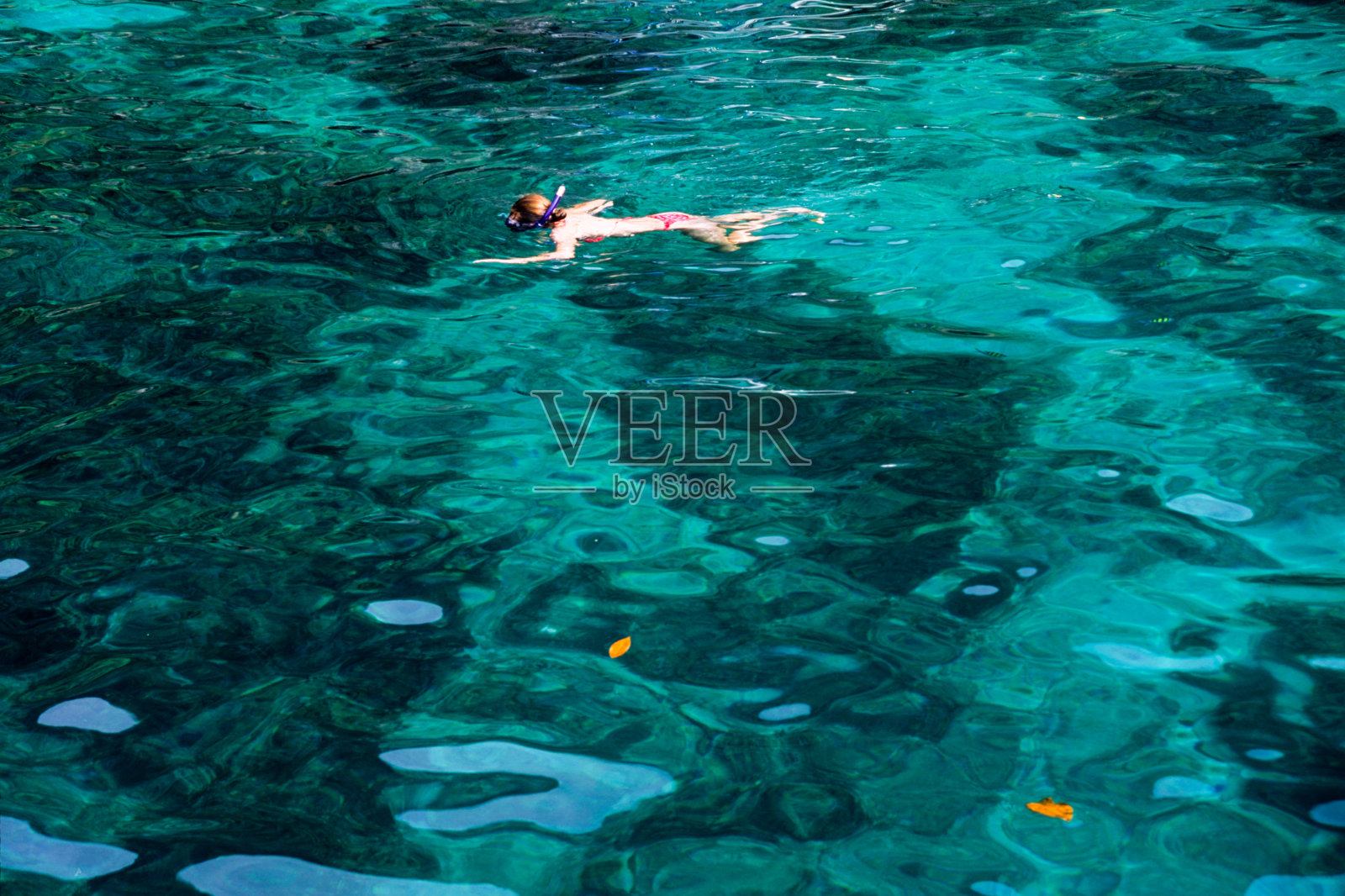 浮潜照片摄影图片