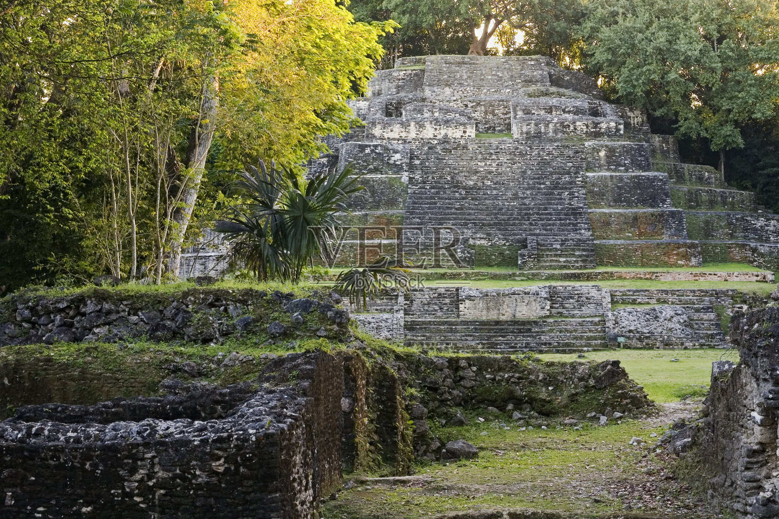 伯利兹:拉马奈的玛雅废墟照片摄影图片