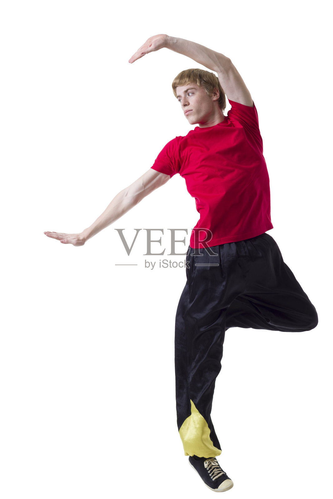 半空中功夫格斗姿势照片摄影图片