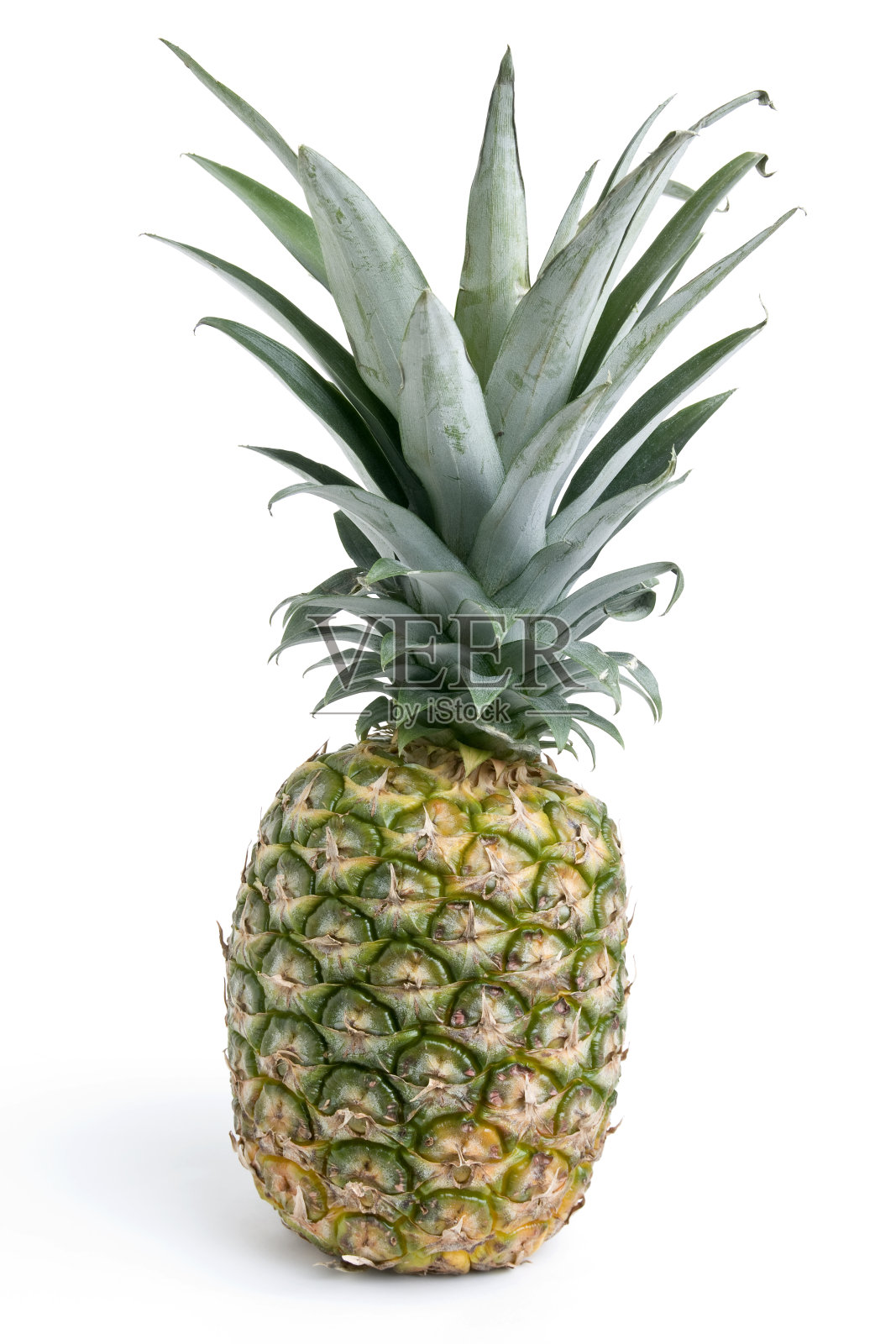 叶子孤立白色的菠萝照片摄影图片