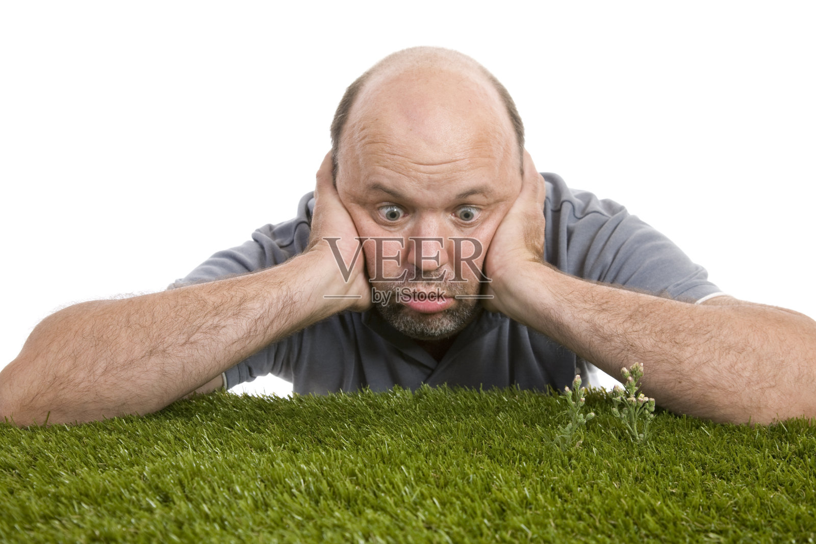 看着草生长照片摄影图片