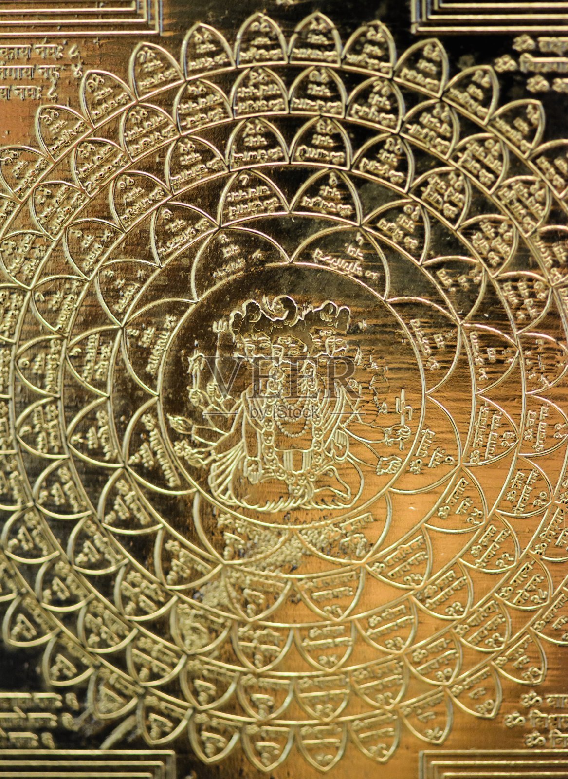 网络燕特拉照片摄影图片