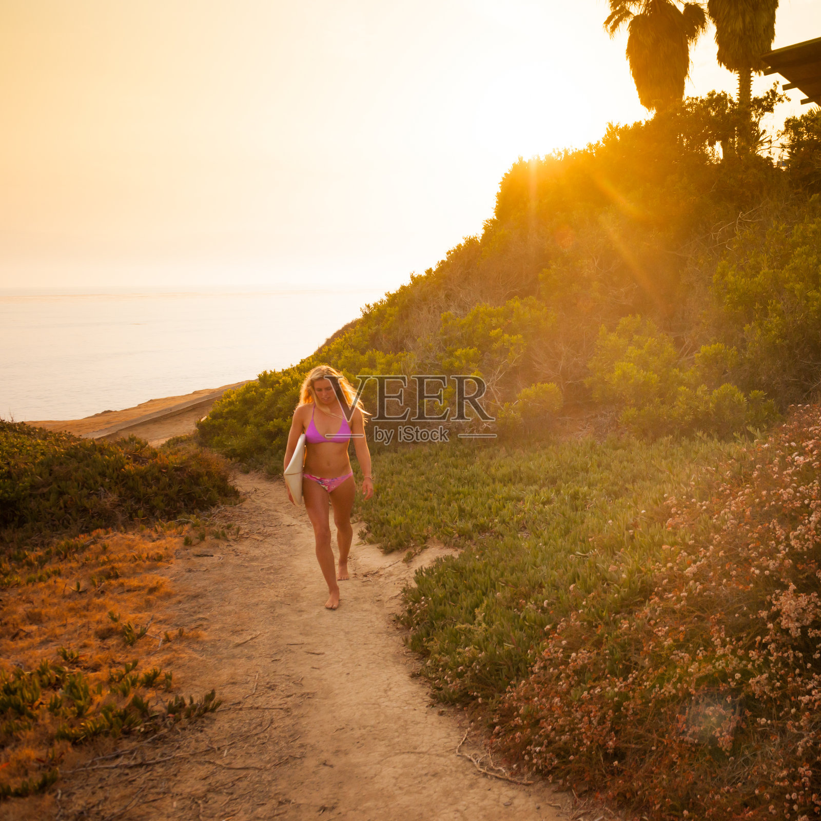 冲浪了照片摄影图片