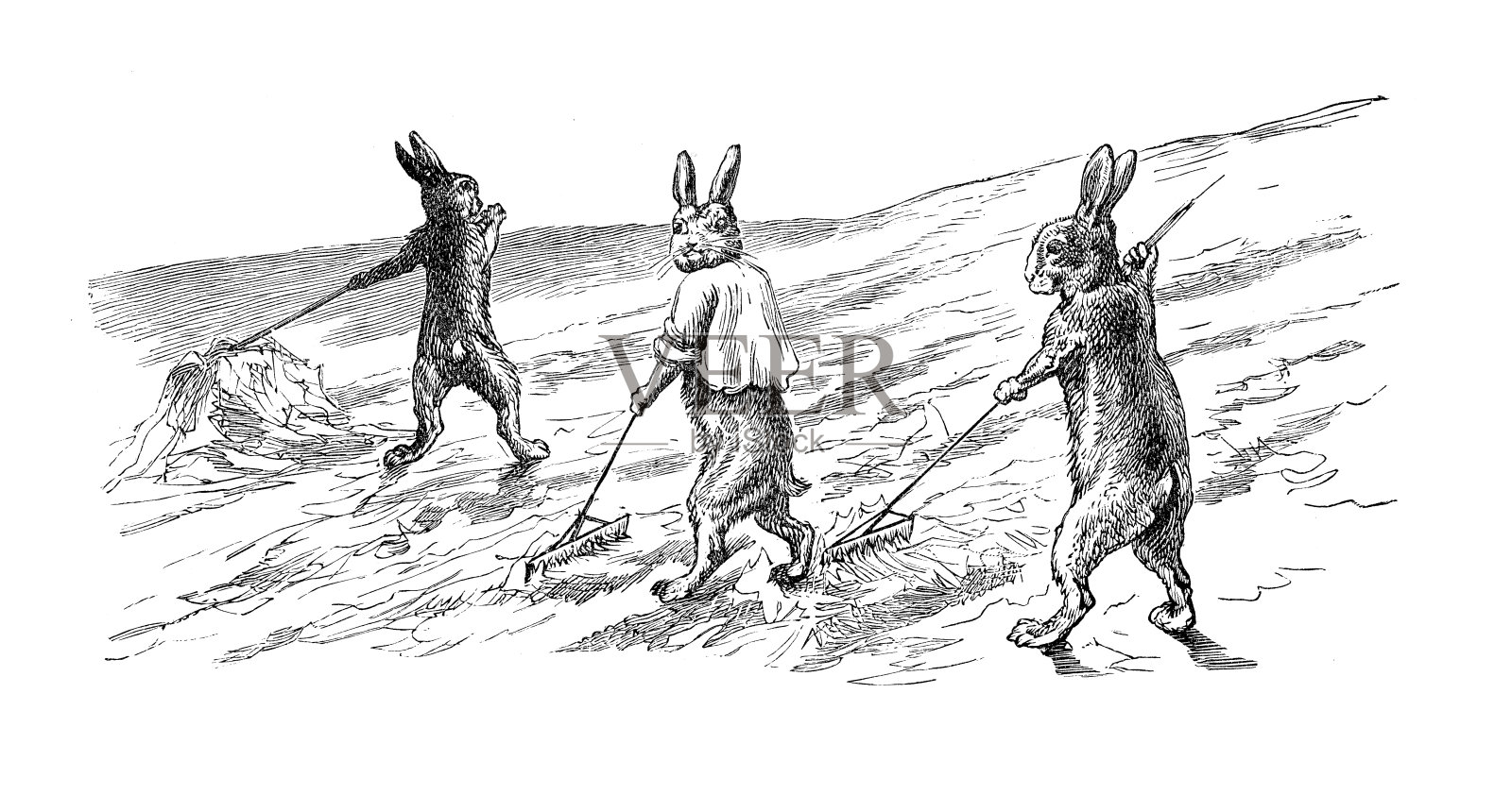 兔子斜干草插画图片素材