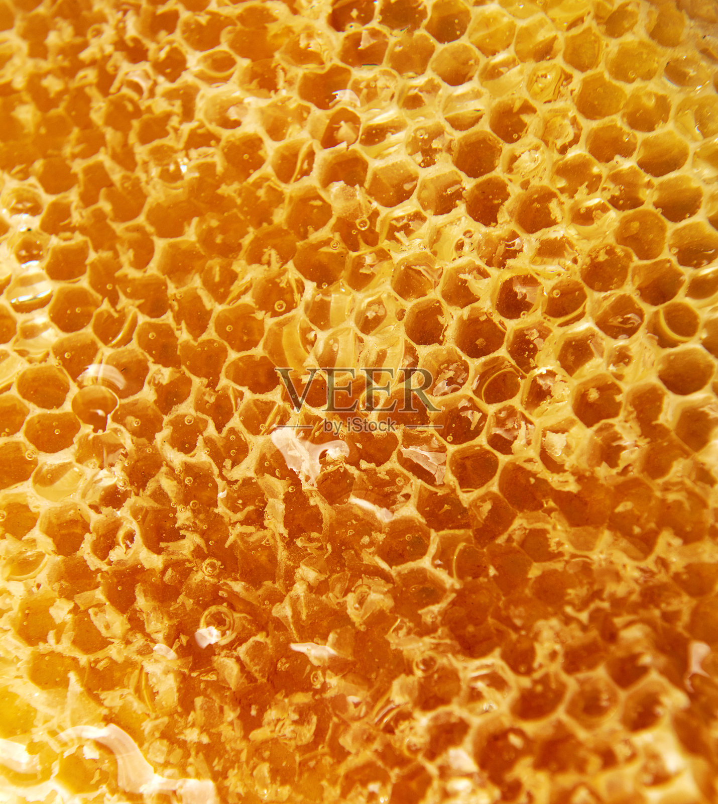 蜂巢的纹理，宏观照片摄影图片
