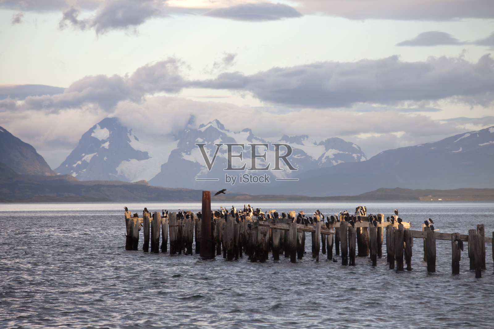 港出生的照片摄影图片