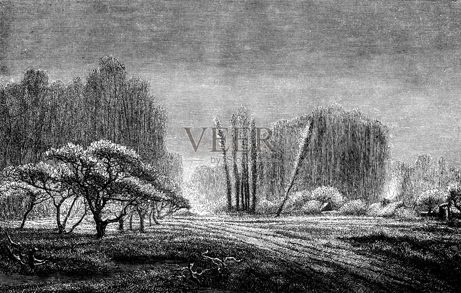 古色古香的乡村景观插画插画图片素材