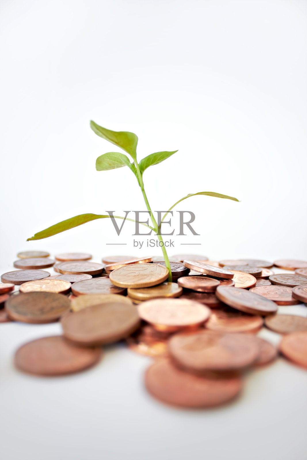 我们的经济增长照片摄影图片