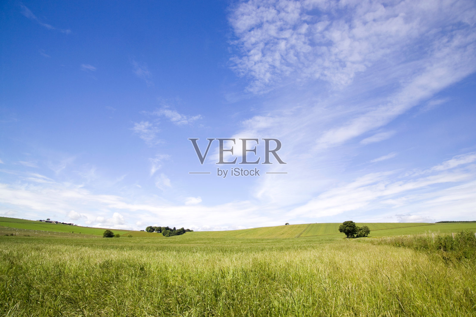 夏天的天空照片摄影图片