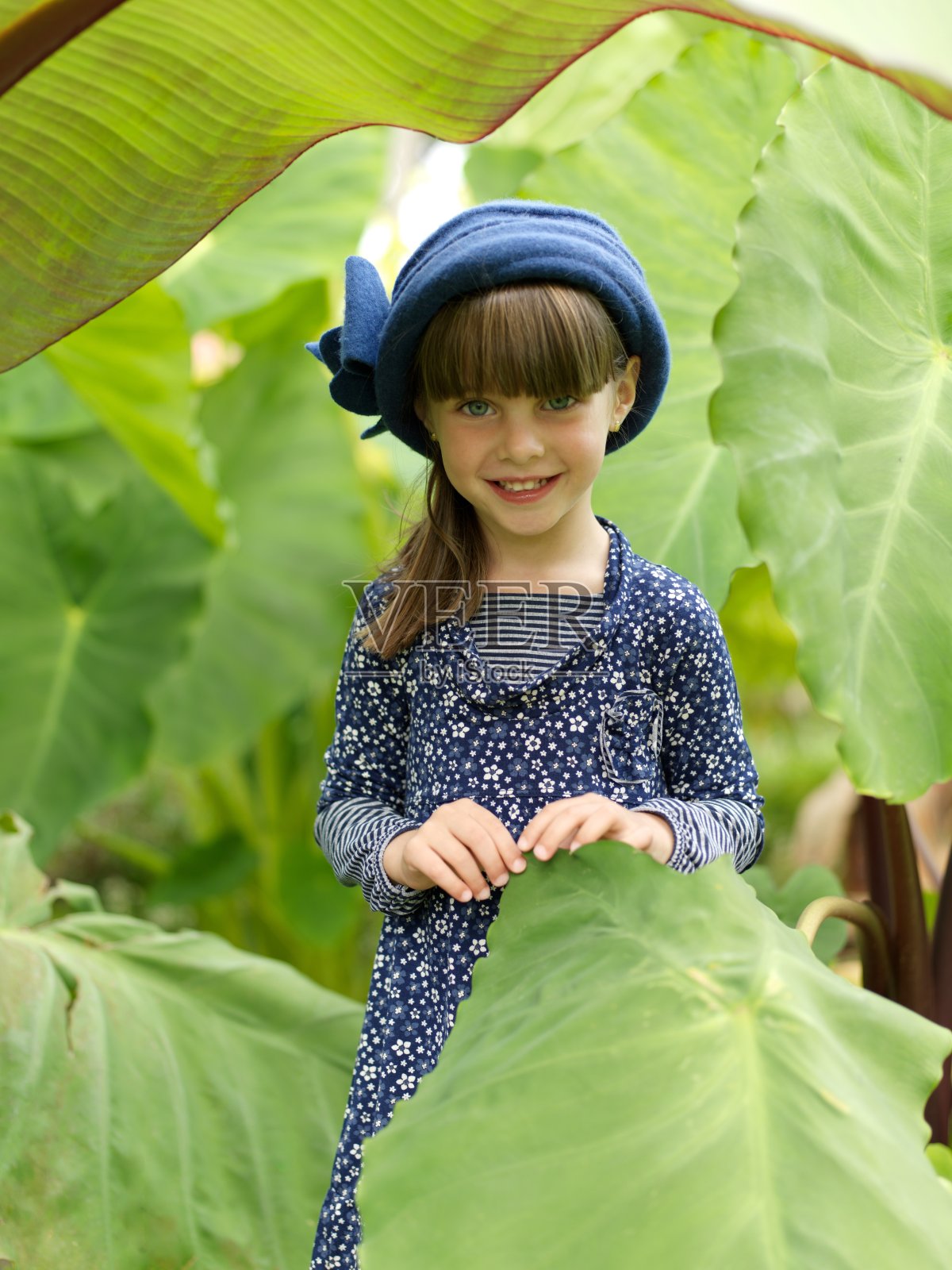 美丽的拇指姑娘照片摄影图片
