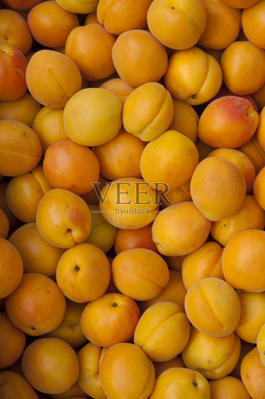 农贸市场的新鲜杏照片摄影图片