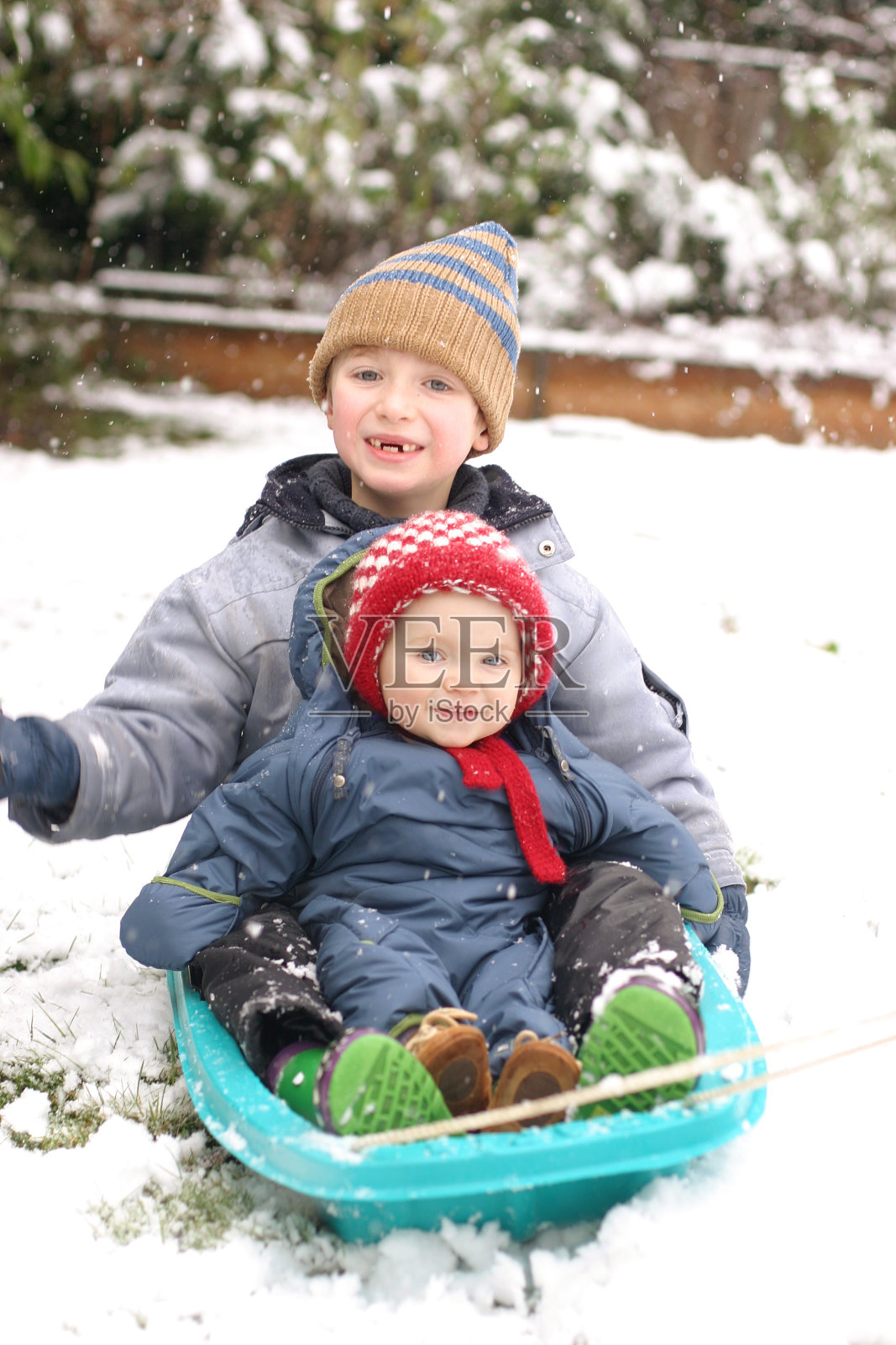 雪橇兄妹照片摄影图片