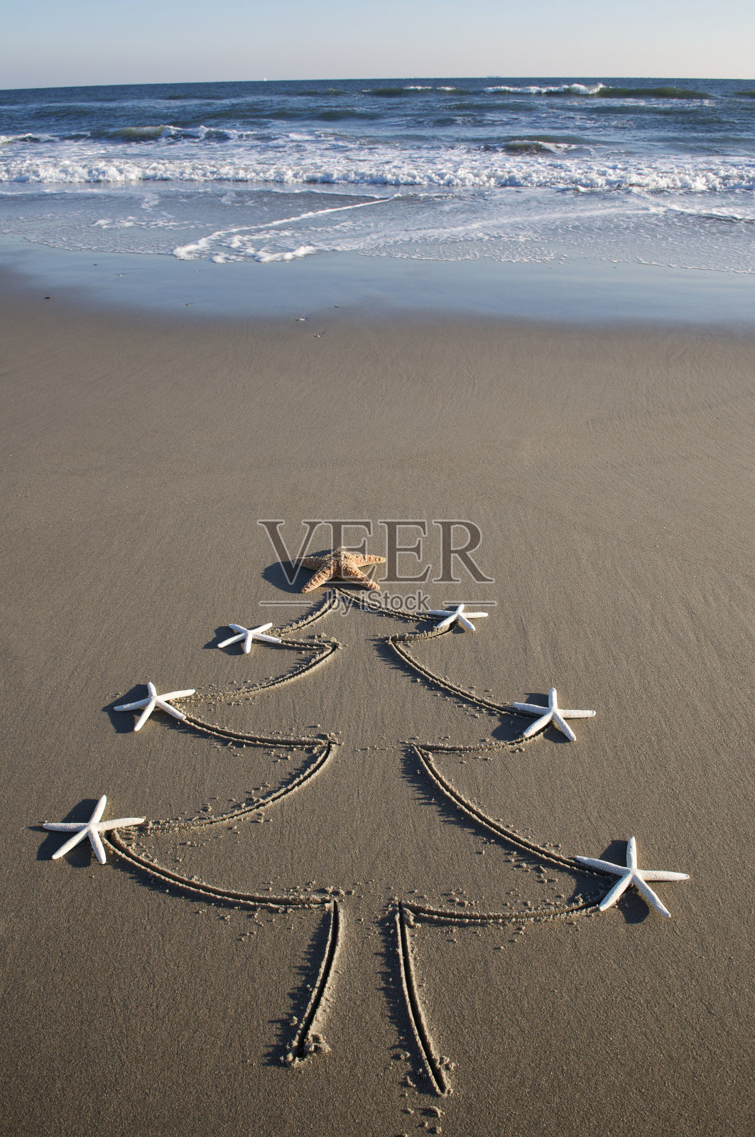海滩圣诞树和海星照片摄影图片