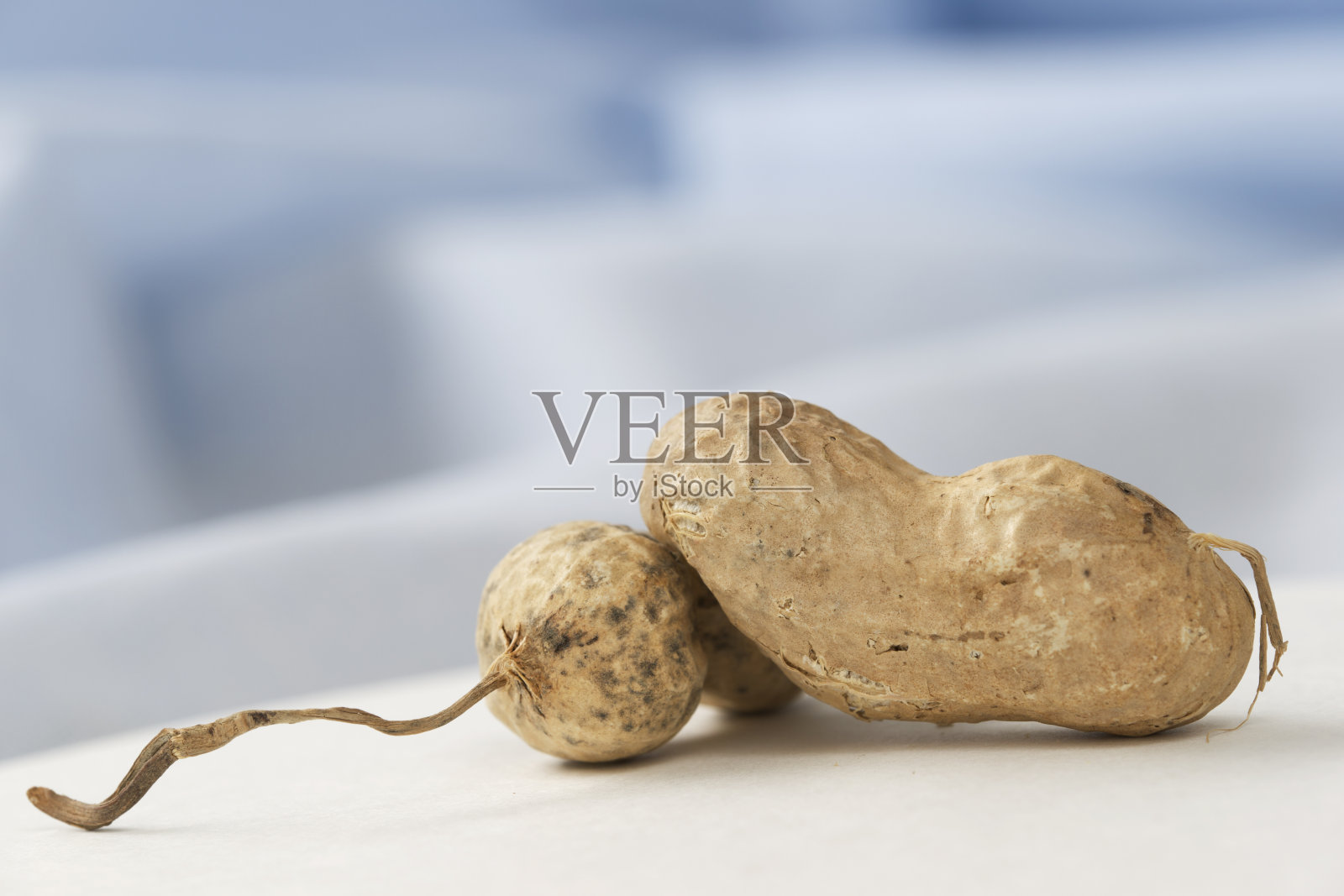 两颗生花生特写，有很多拷贝空间照片摄影图片