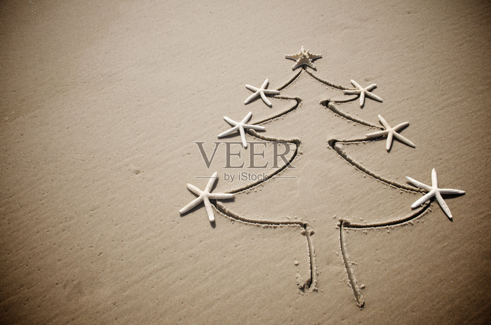 沙滩上的老式圣诞树和海星照片摄影图片